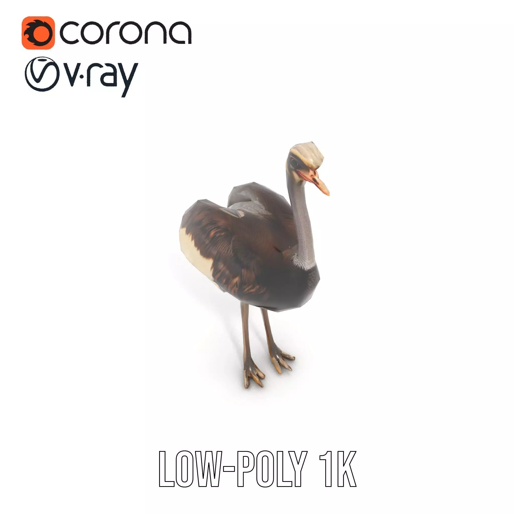Elegant Ostrich Brown model pack Low-poly 3D model_14