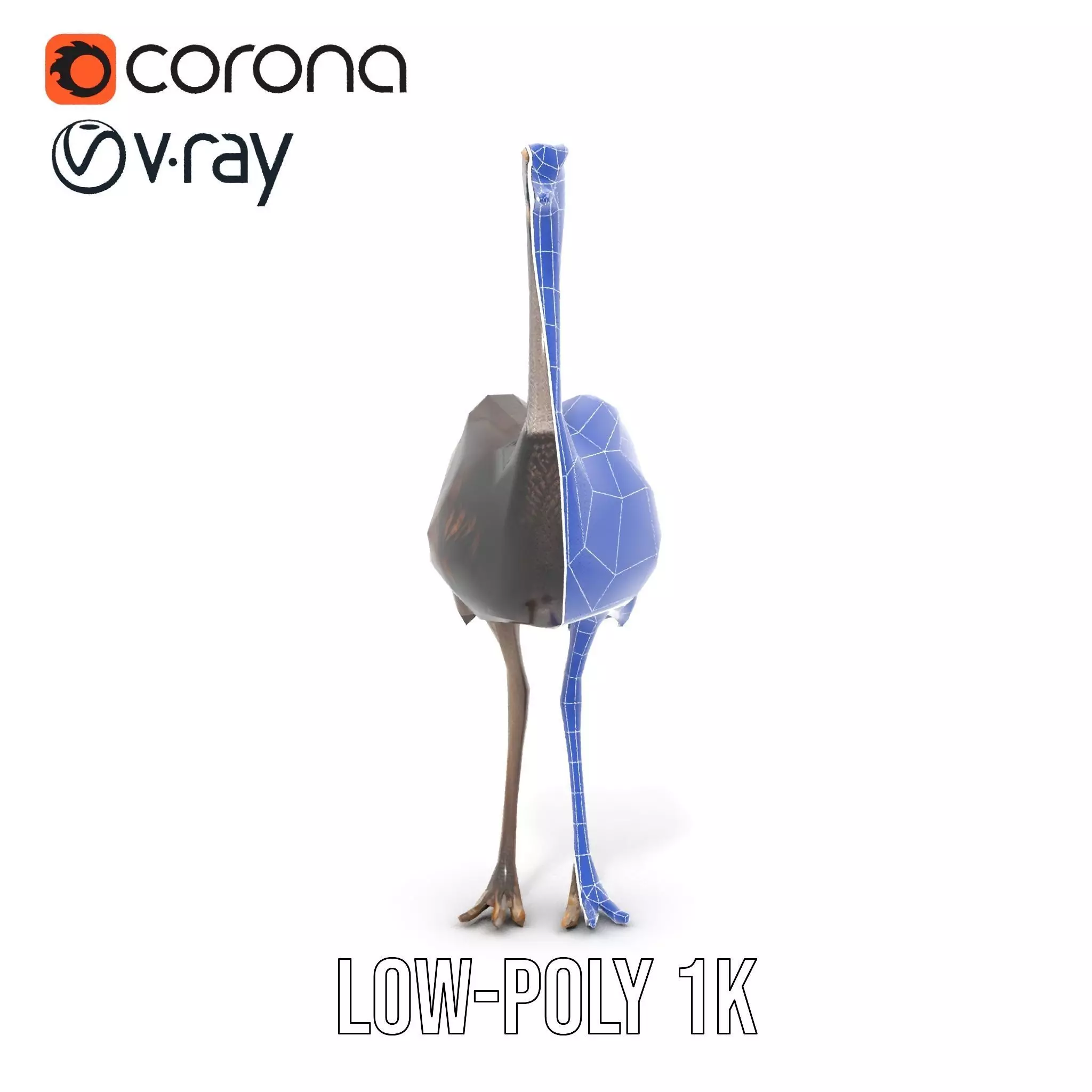 Elegant Ostrich Brown model pack Low-poly 3D model_27