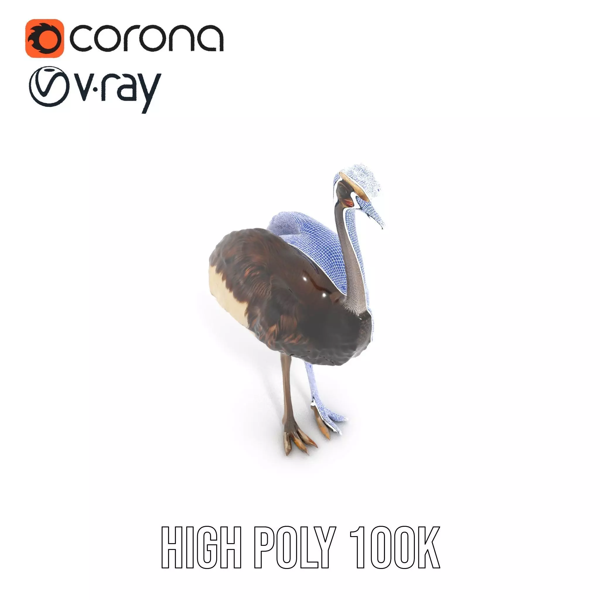 Elegant Ostrich Brown model pack Low-poly 3D model_28