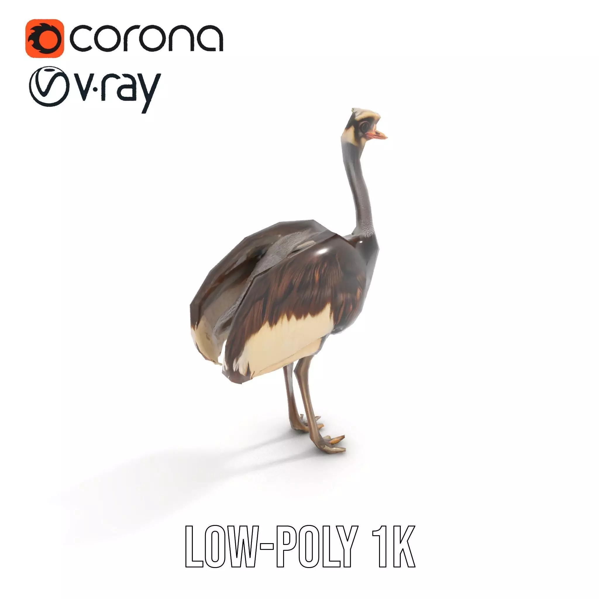Elegant Ostrich Brown model pack Low-poly 3D model_9