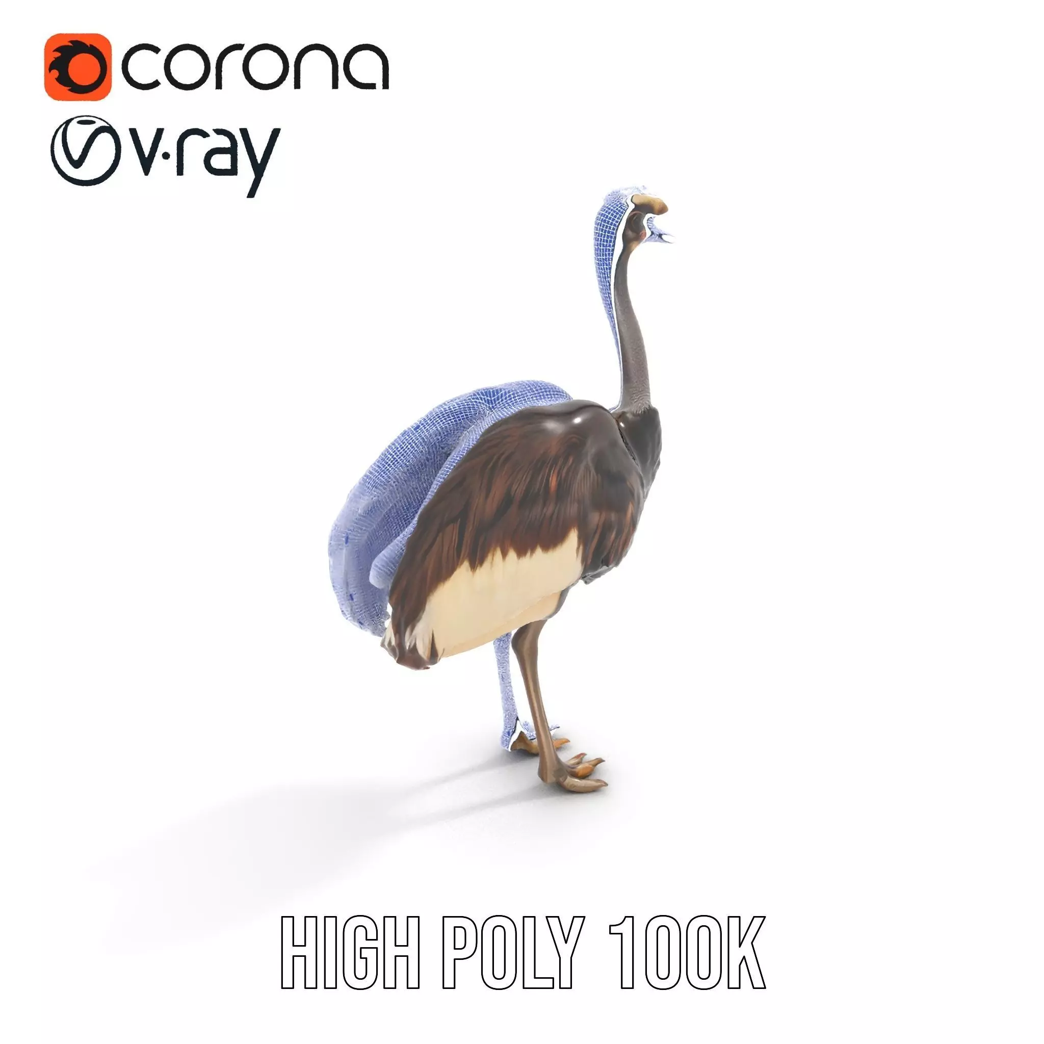 Elegant Ostrich Brown model pack Low-poly 3D model_31