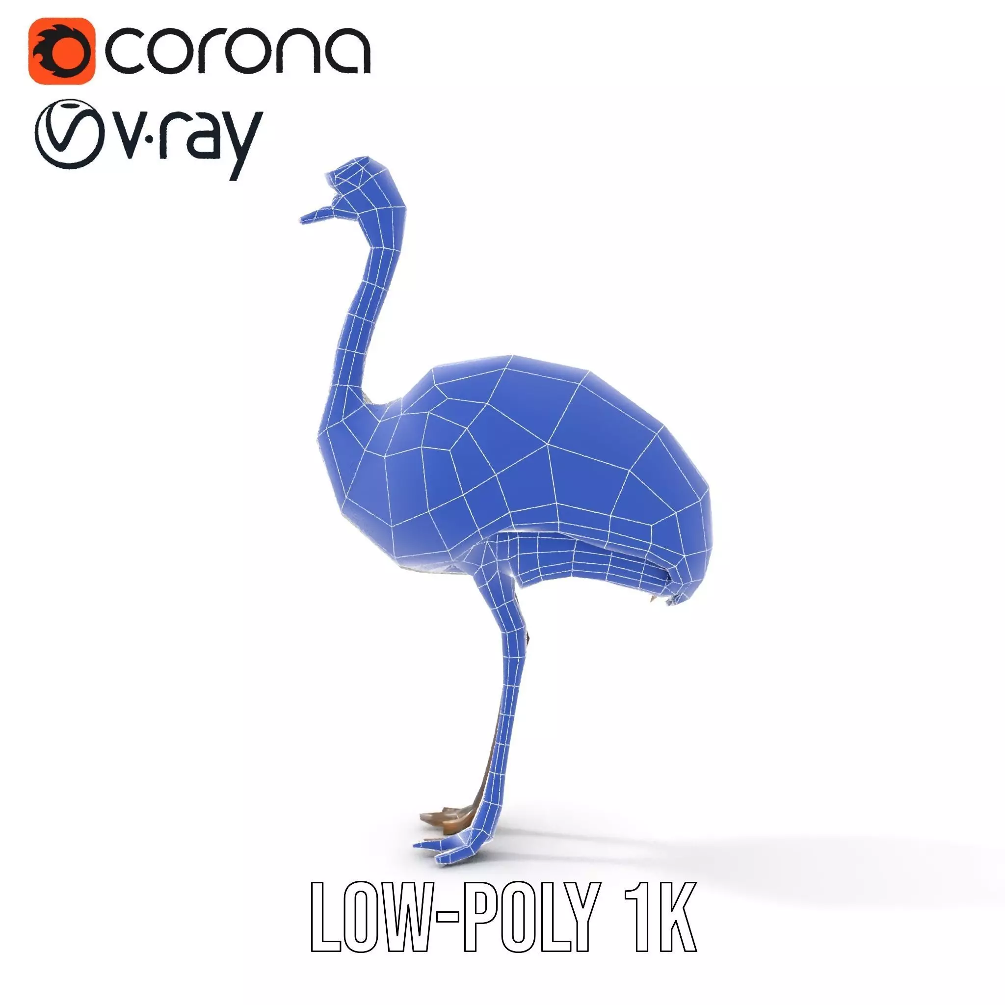 Elegant Ostrich Brown model pack Low-poly 3D model_19