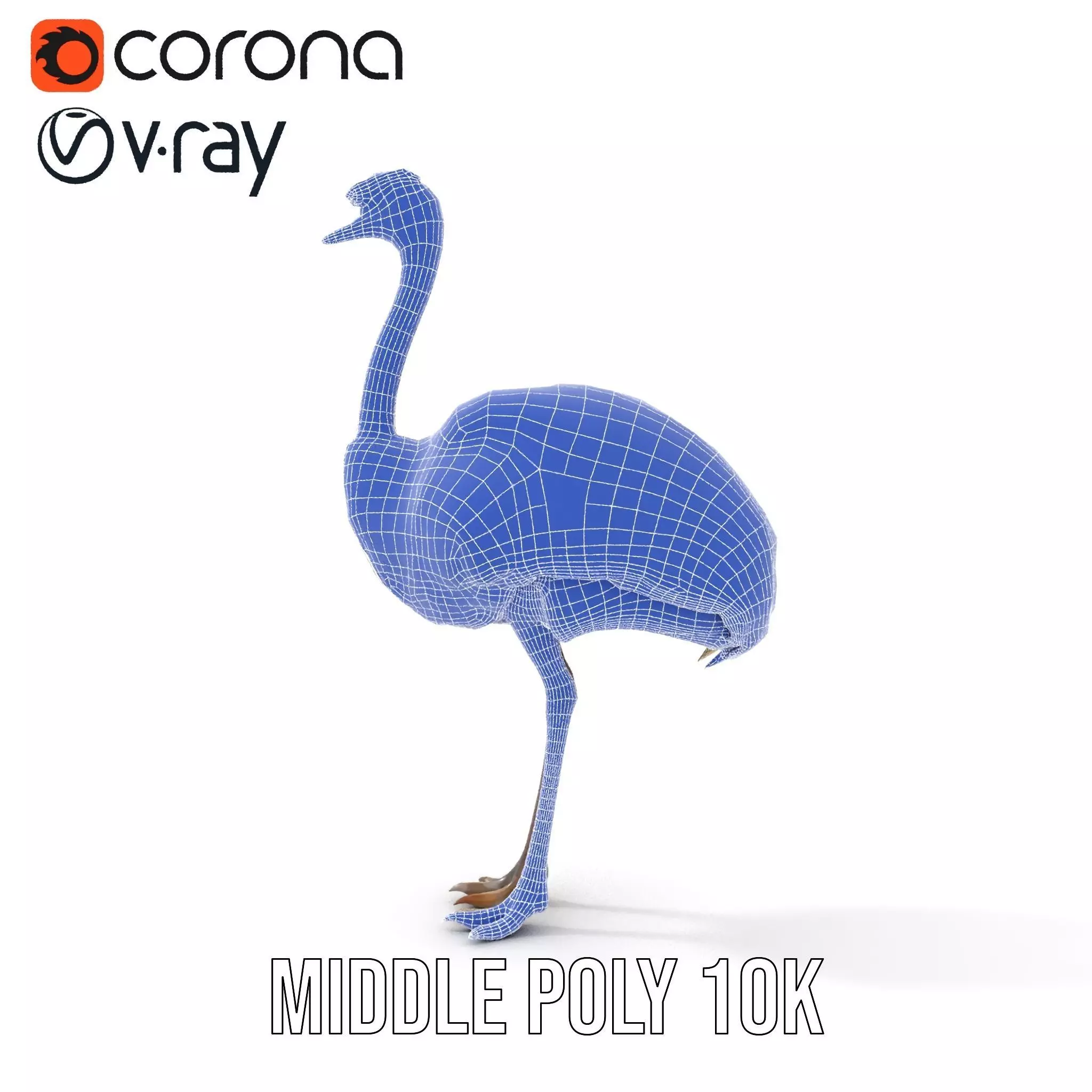 Elegant Ostrich Brown model pack Low-poly 3D model_26