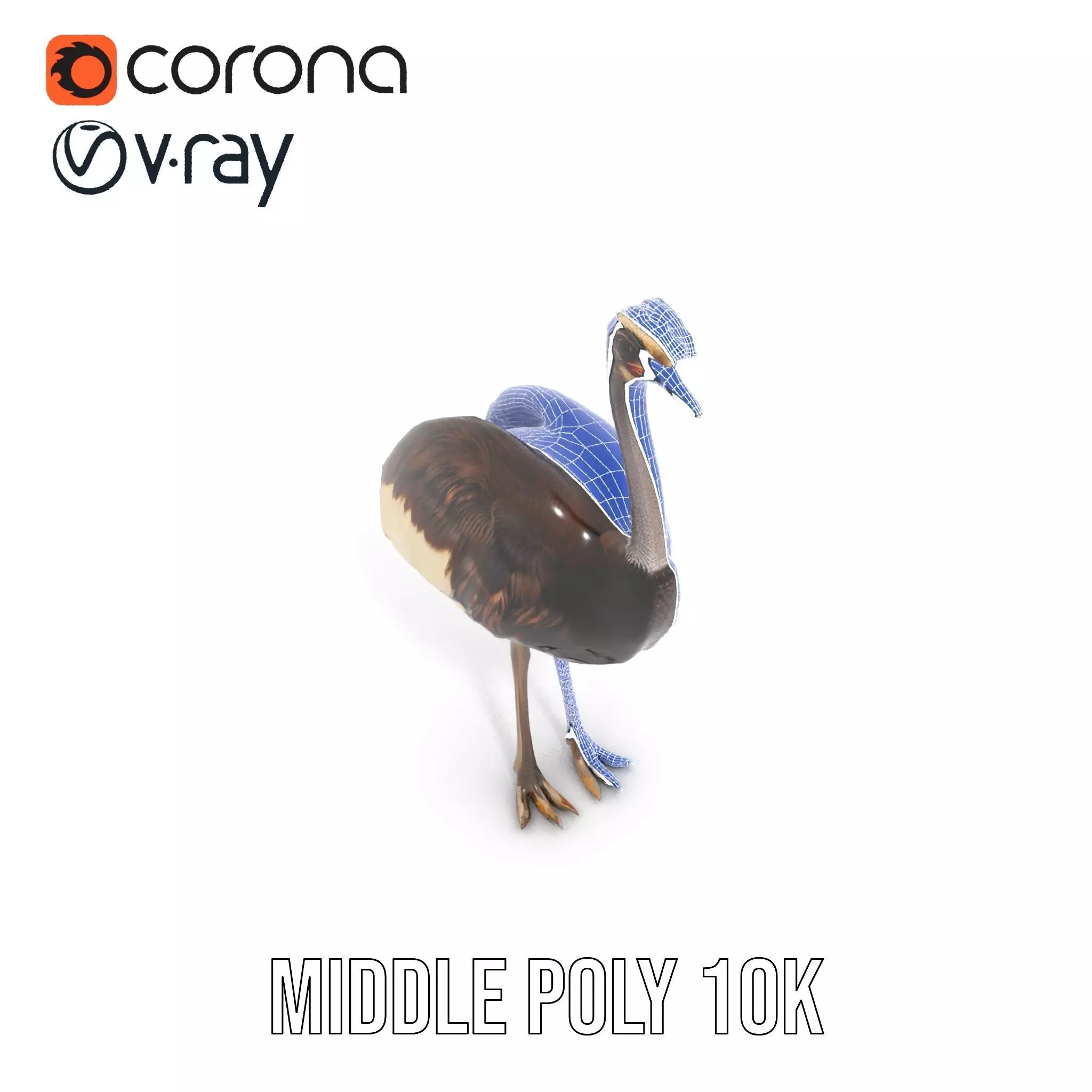 Elegant Ostrich Brown model pack Low-poly 3D model_23