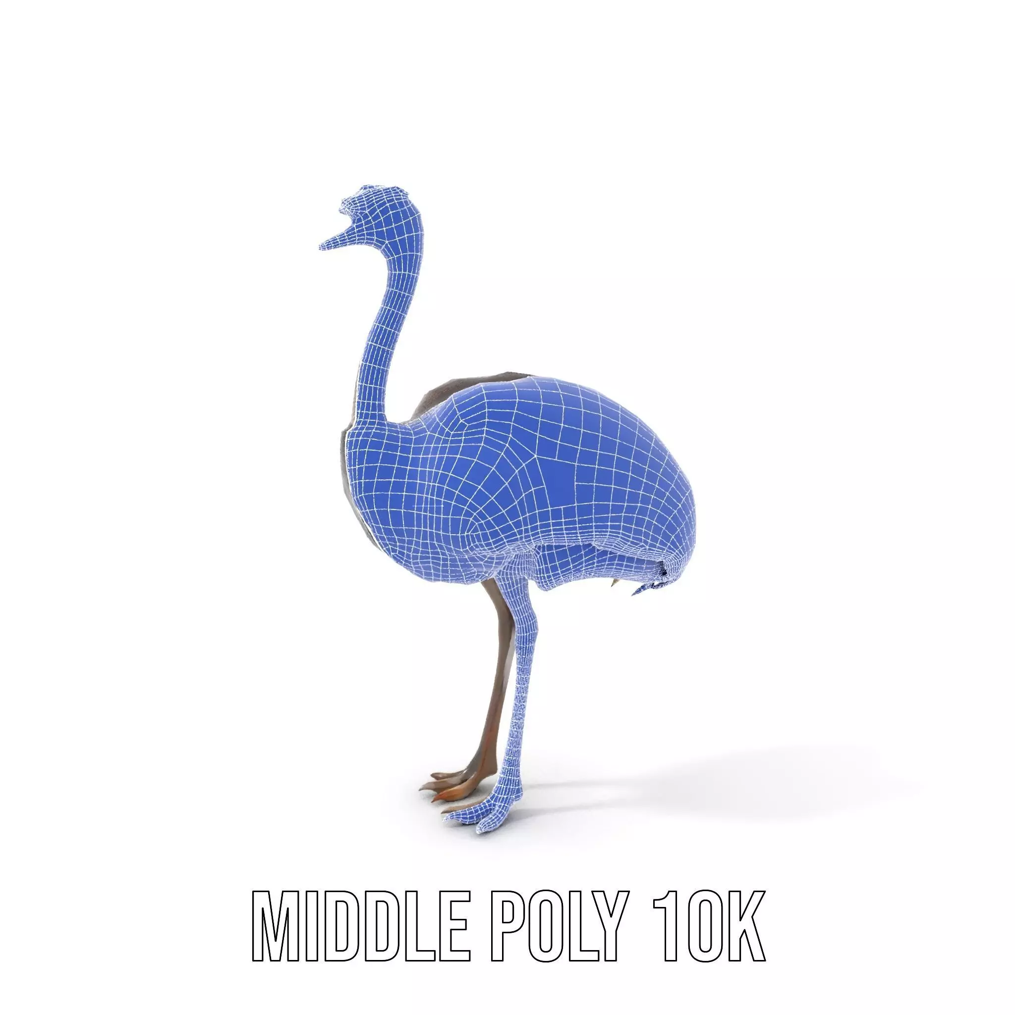 Elegant Ostrich Brown model pack Low-poly 3D model_11