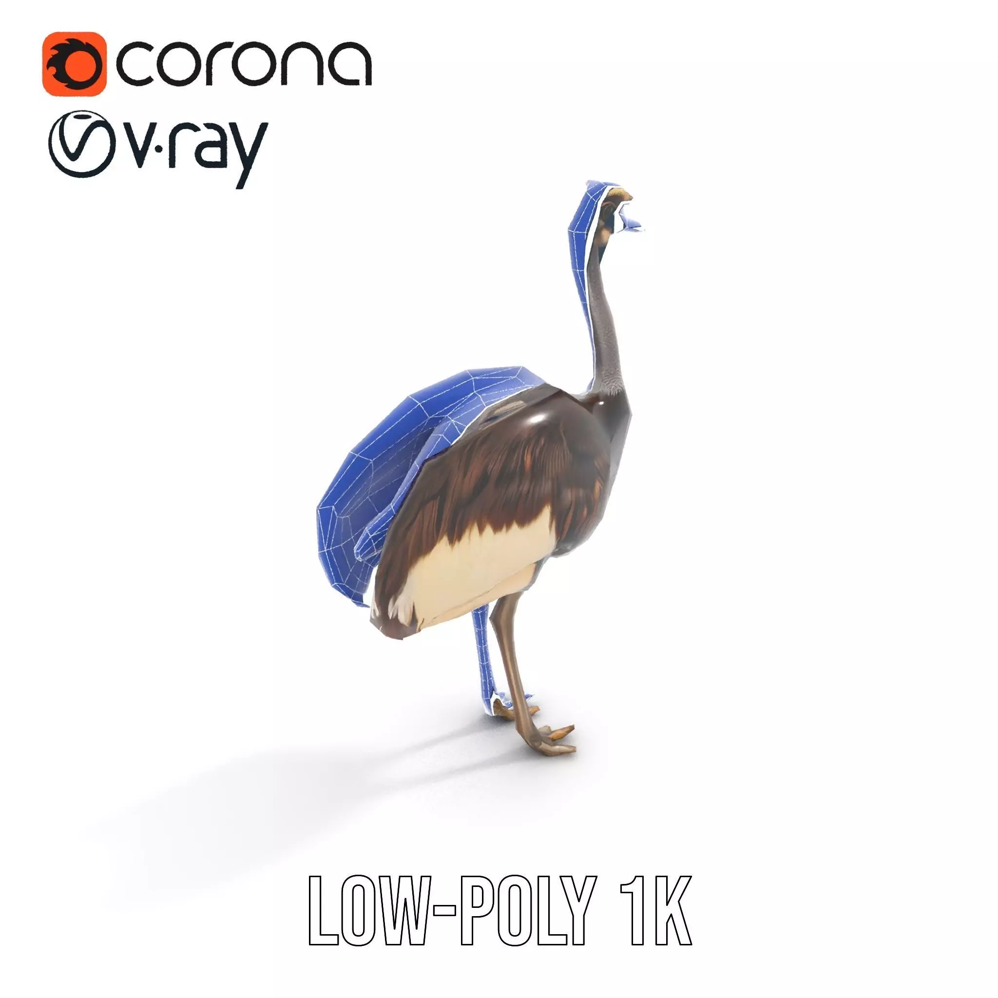 Elegant Ostrich Brown model pack Low-poly 3D model_17
