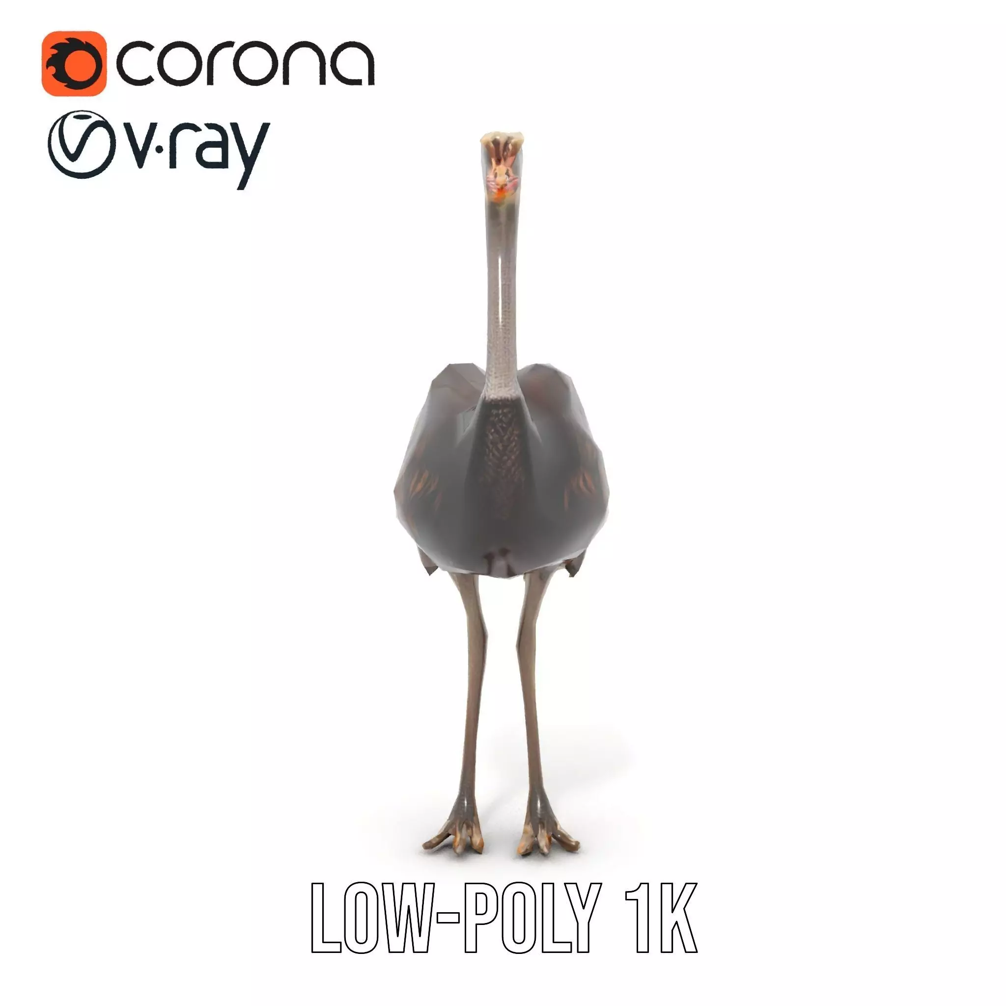 Elegant Ostrich Brown model pack Low-poly 3D model_12