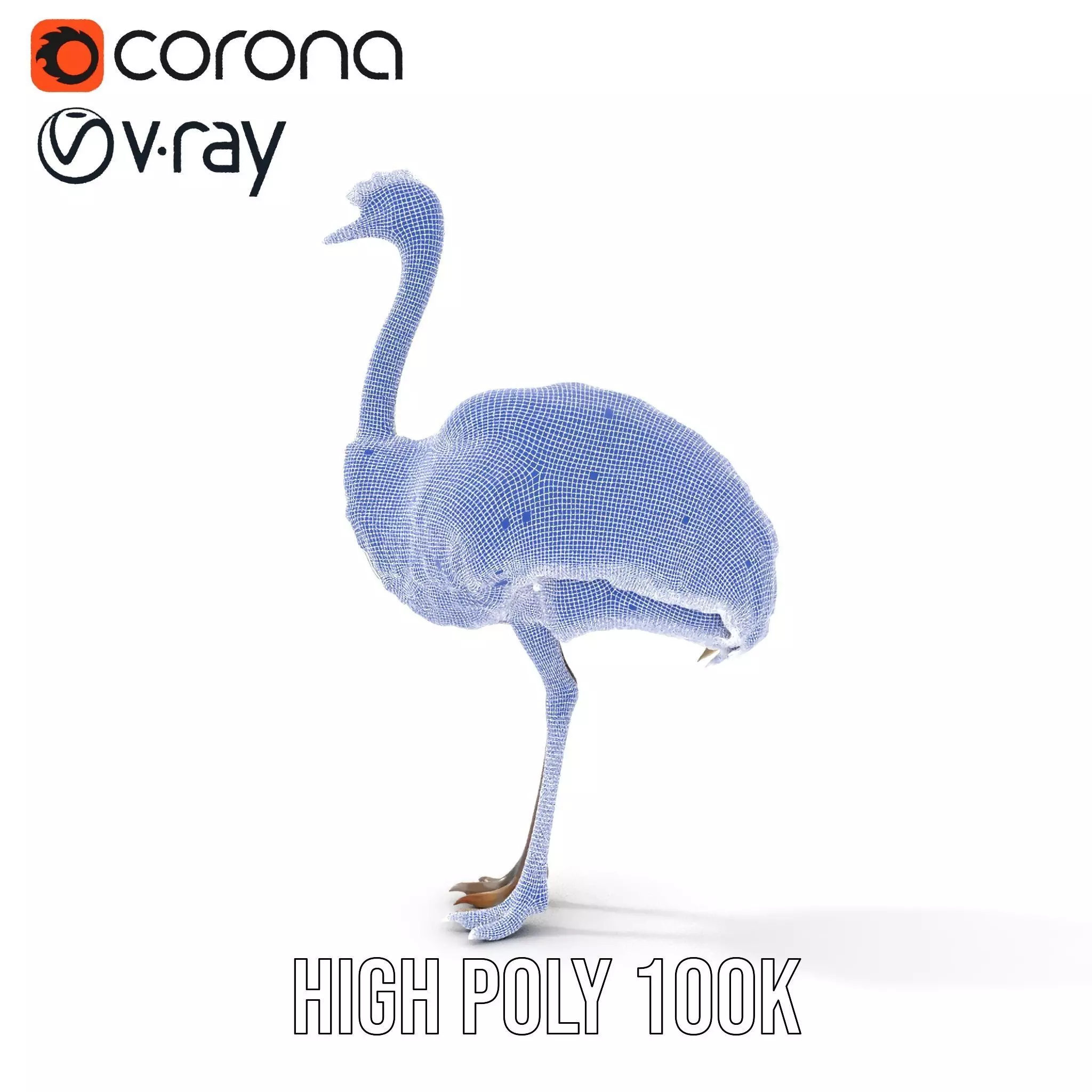 Elegant Ostrich Brown model pack Low-poly 3D model_33