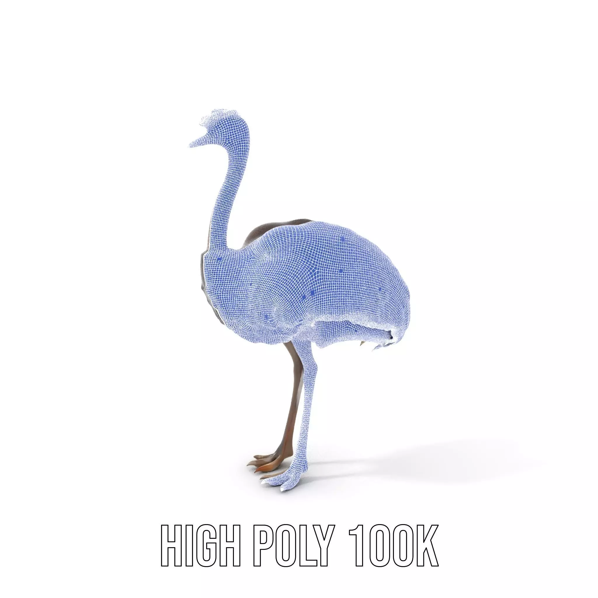 Elegant Ostrich Brown model pack Low-poly 3D model_4