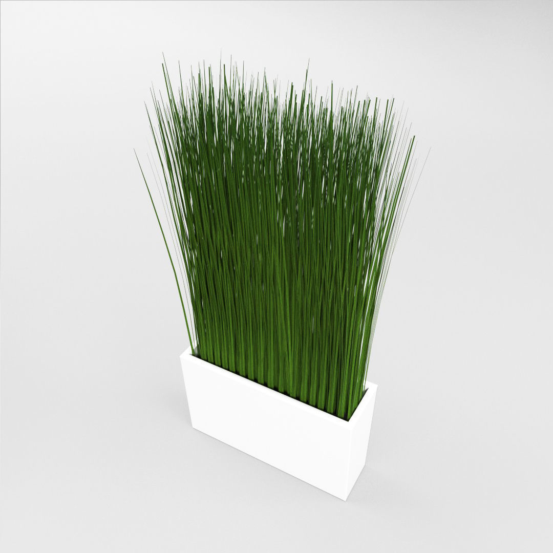 Grass in a Vase 3D model_1