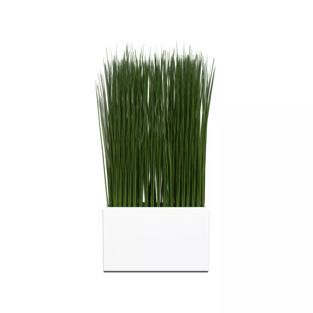 Grass in a Vase 3D model_0
