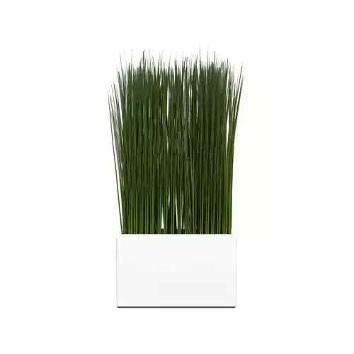 Grass in a Vase 3D model