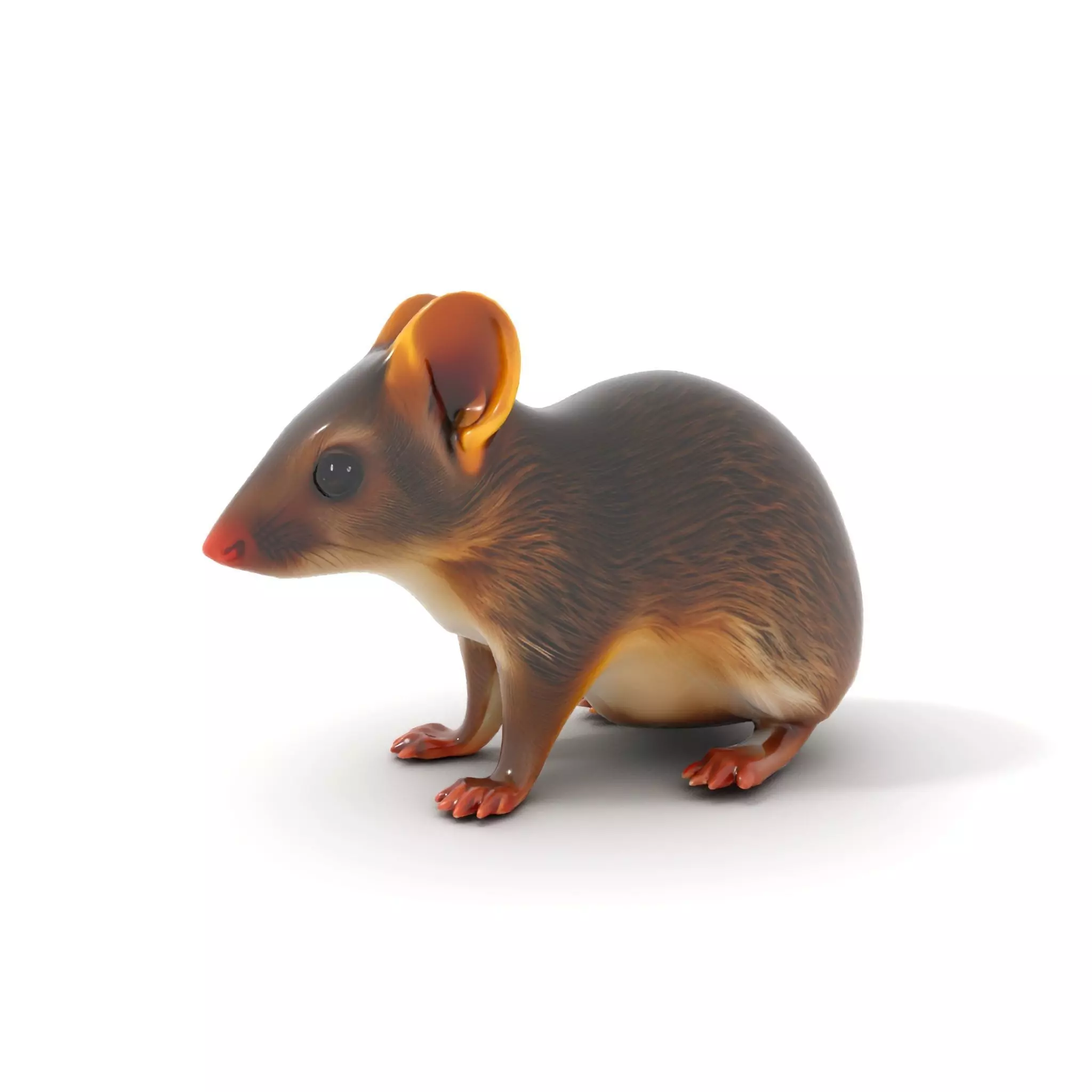 Desert Jerboa model pack Low-poly 3D model_6