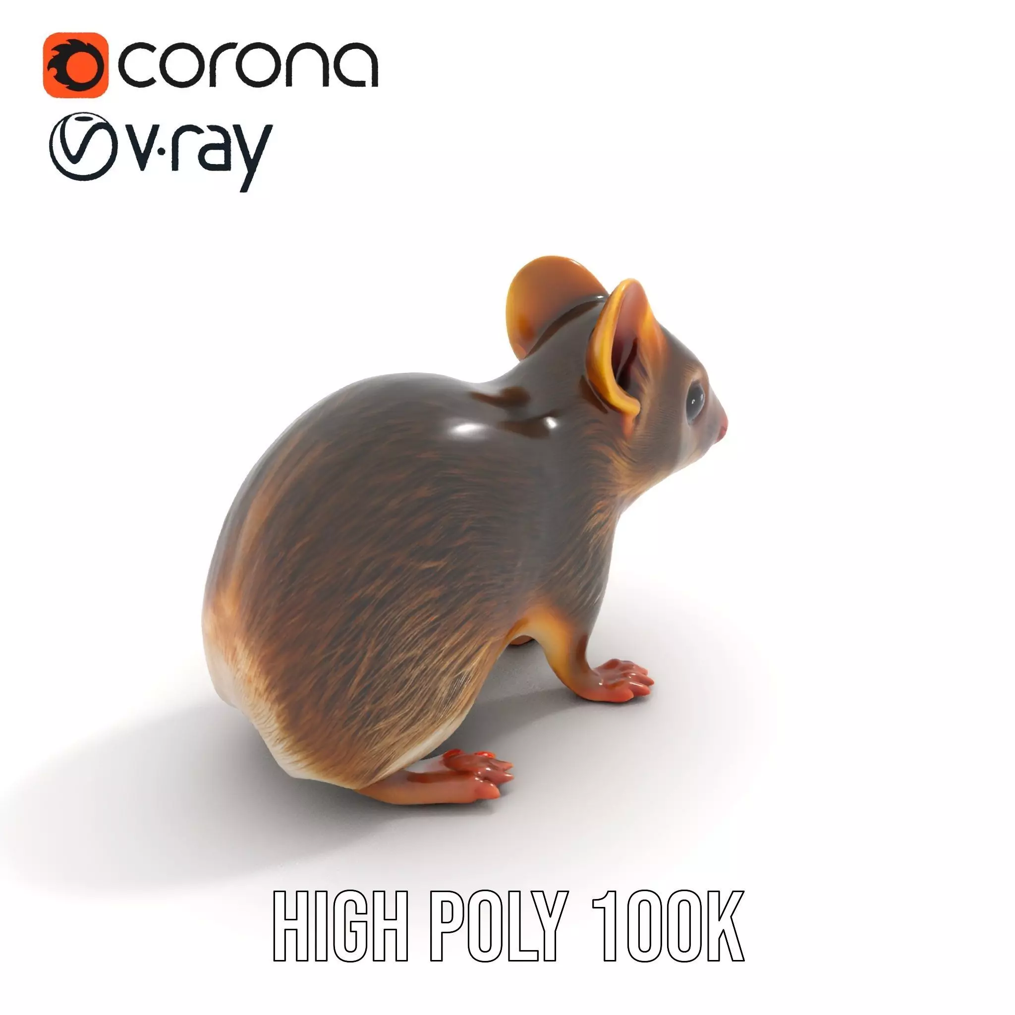 Desert Jerboa model pack Low-poly 3D model_20