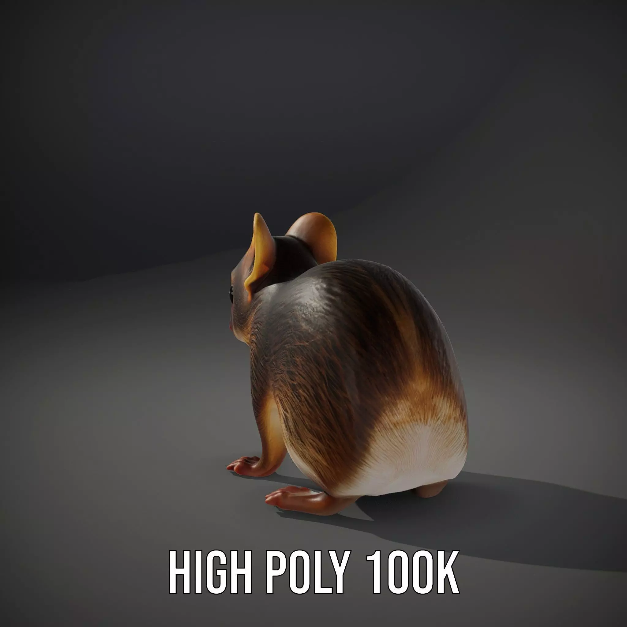 Desert Jerboa model pack Low-poly 3D model_10