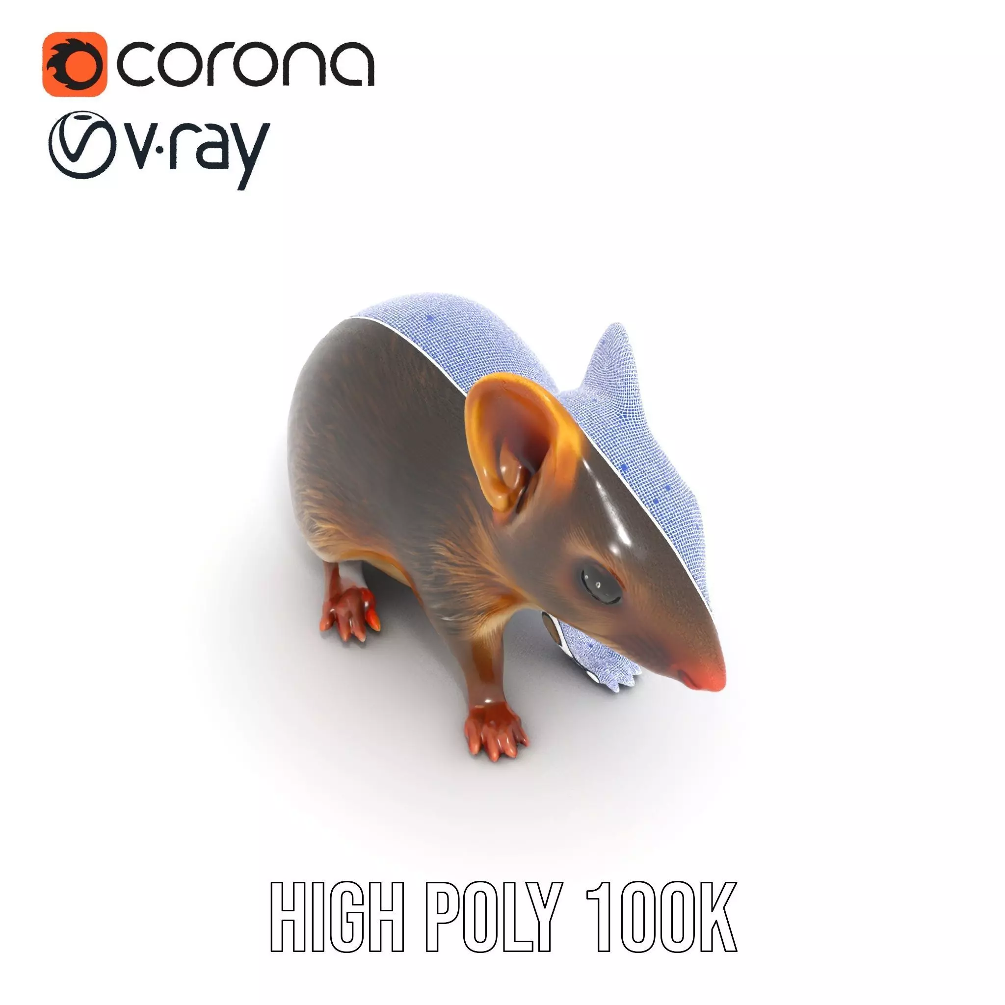 Desert Jerboa model pack Low-poly 3D model_34