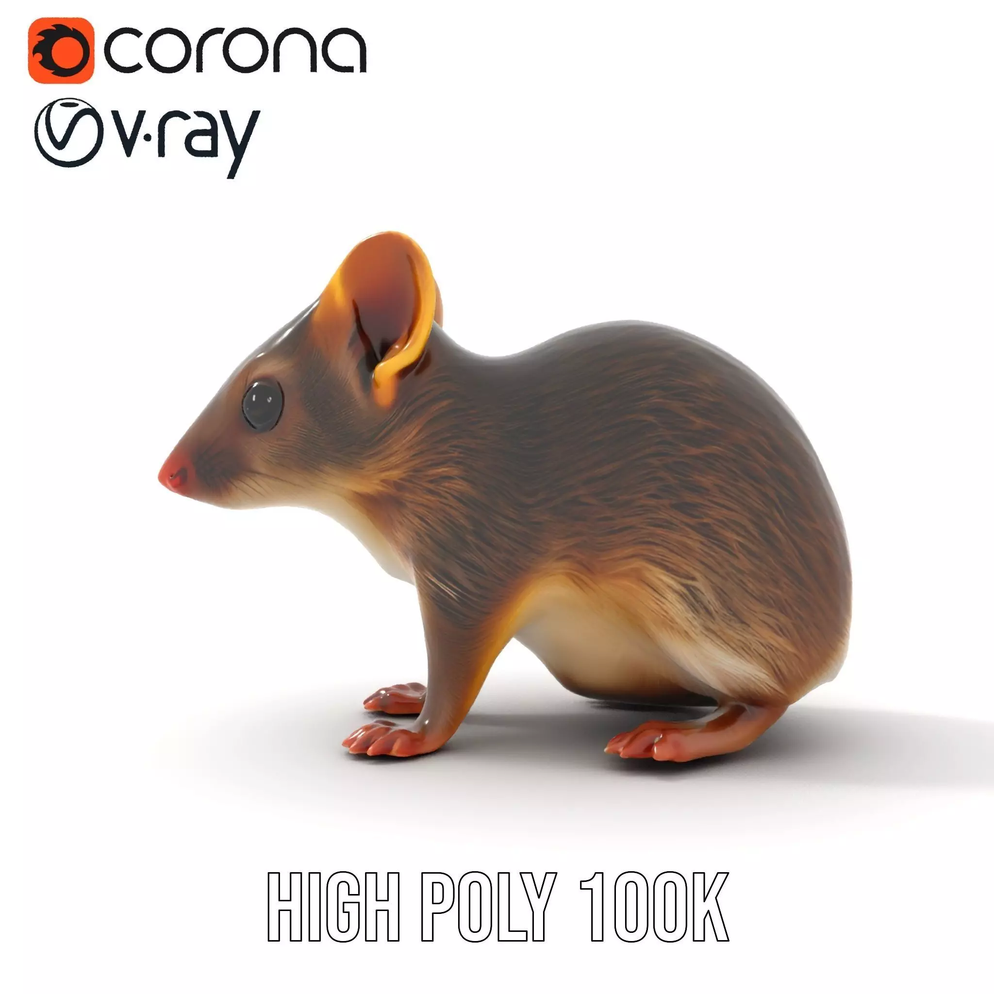 Desert Jerboa model pack Low-poly 3D model_17