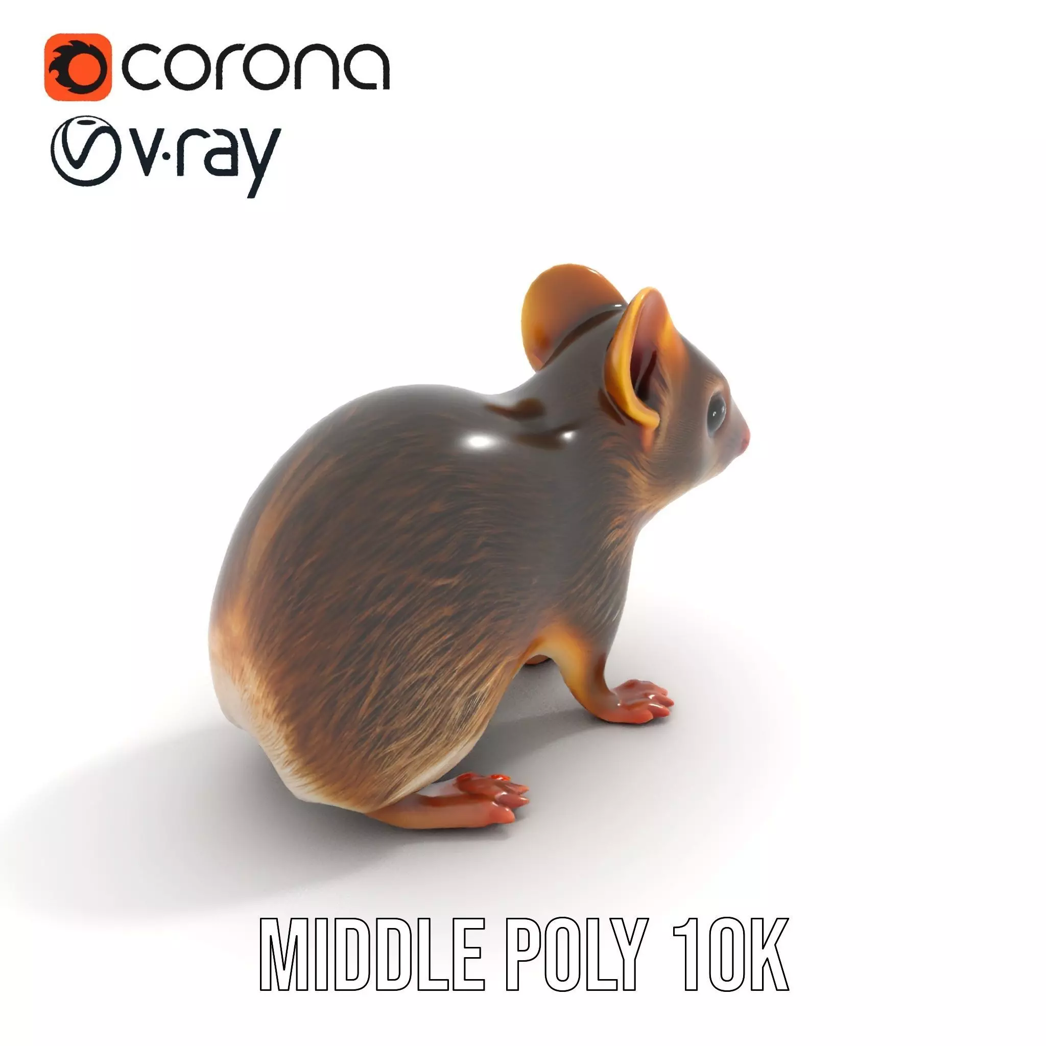 Desert Jerboa model pack Low-poly 3D model_15