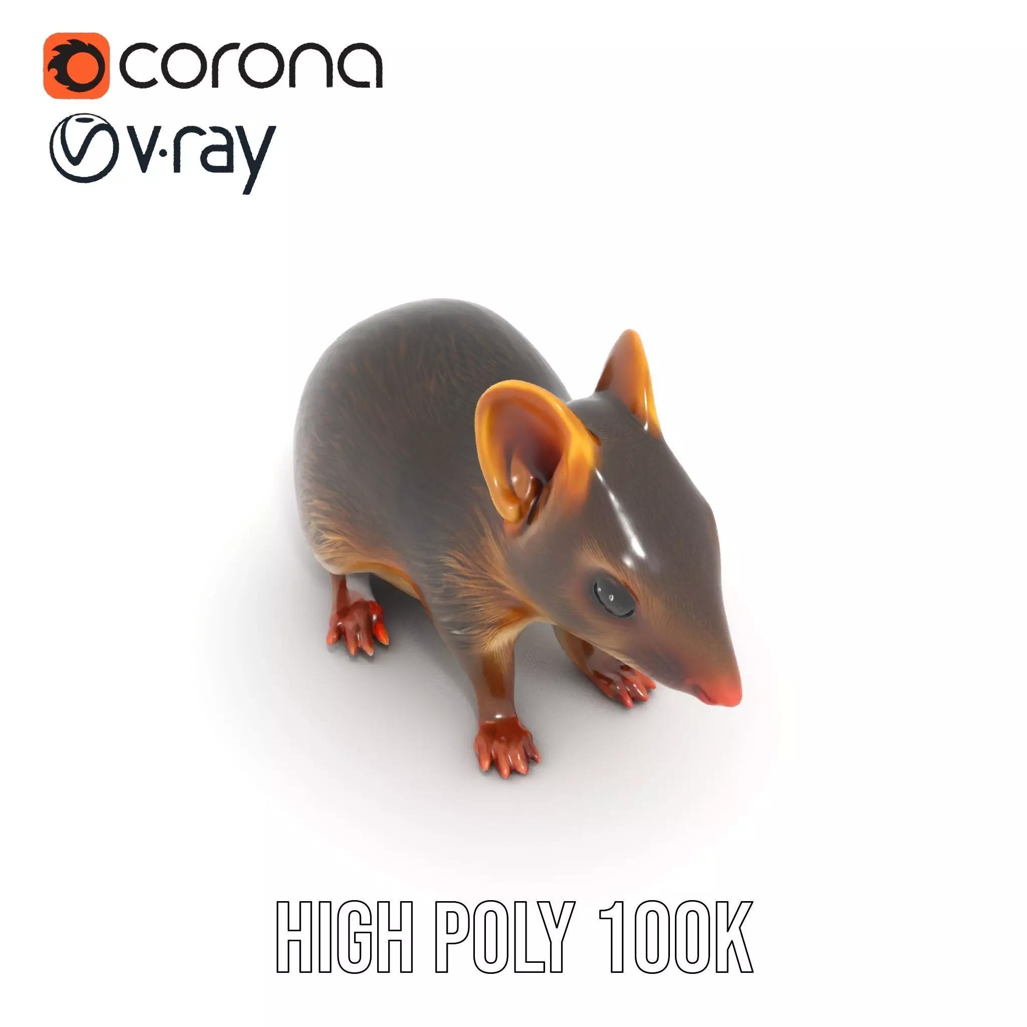 Desert Jerboa model pack Low-poly 3D model_23