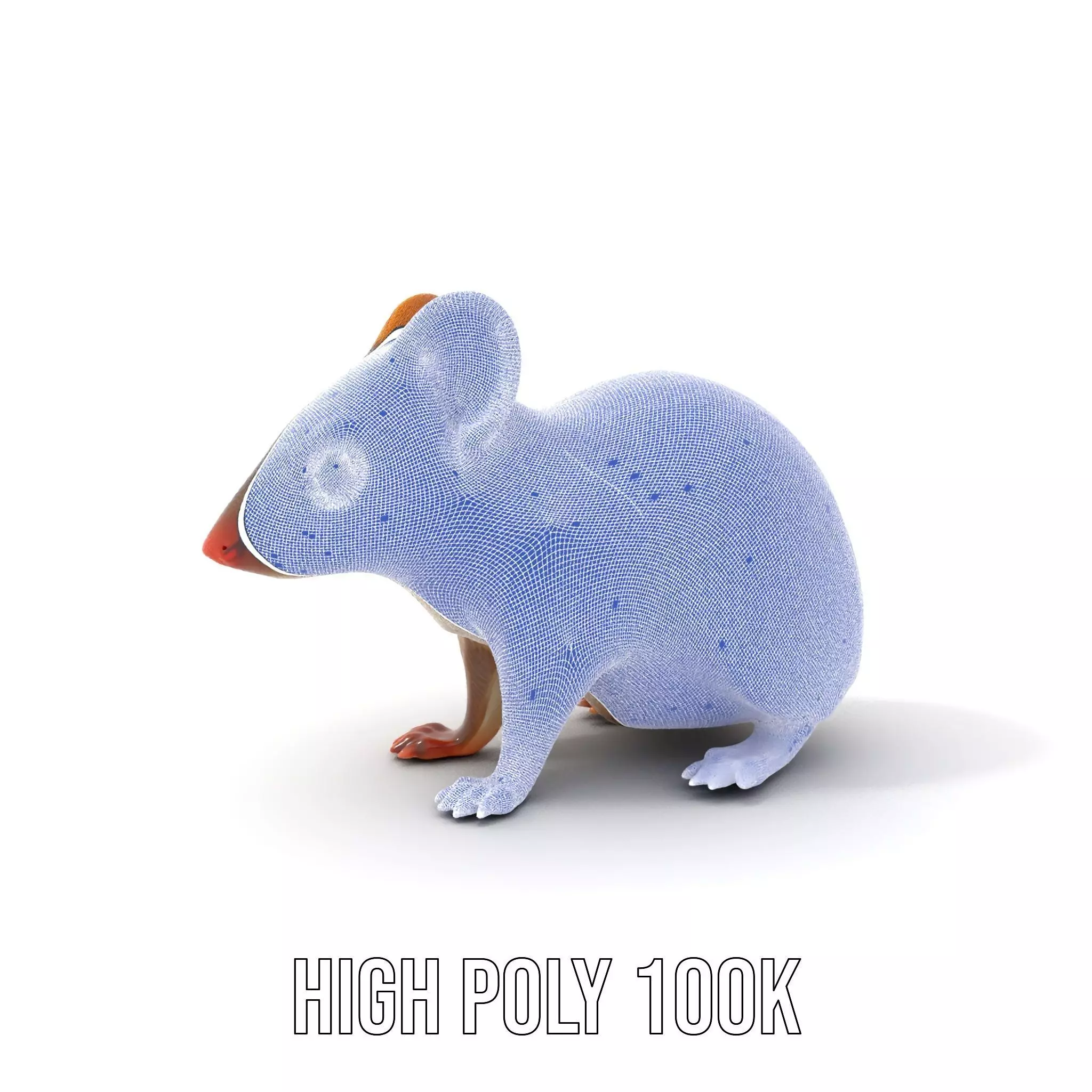 Desert Jerboa model pack Low-poly 3D model_4