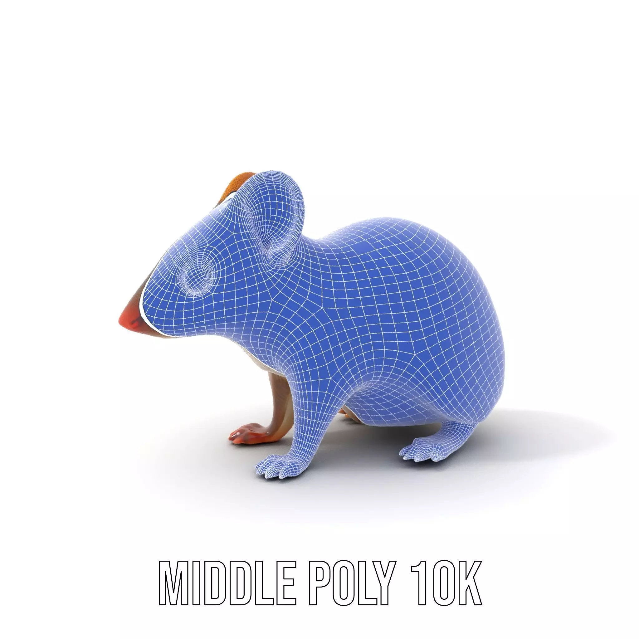 Desert Jerboa model pack Low-poly 3D model_13