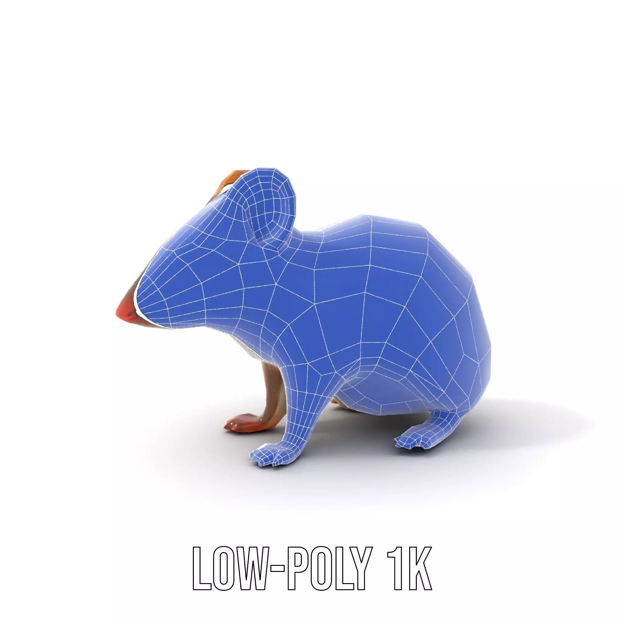 Desert Jerboa model pack Low-poly 3D model_19