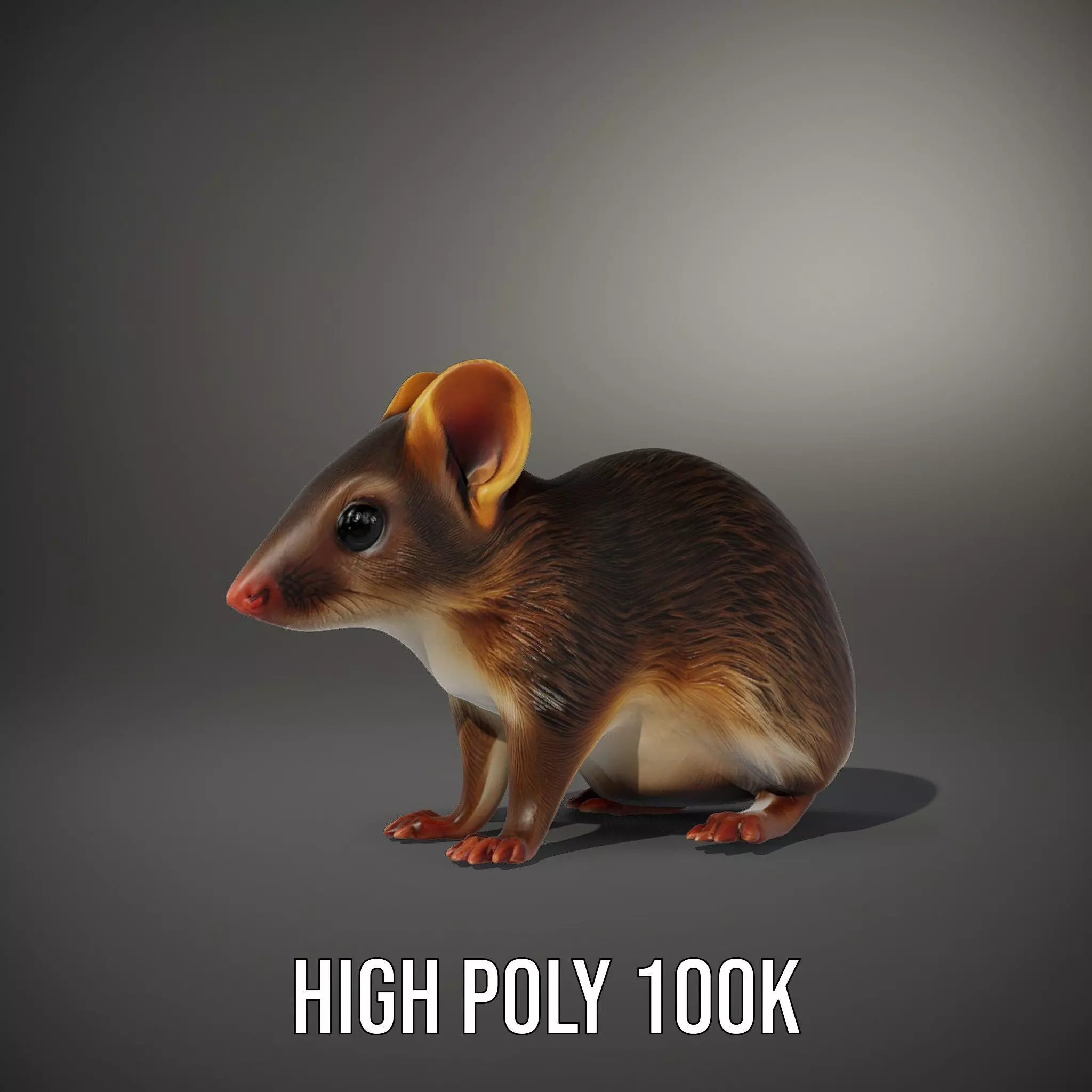 Desert Jerboa model pack Low-poly 3D model_8