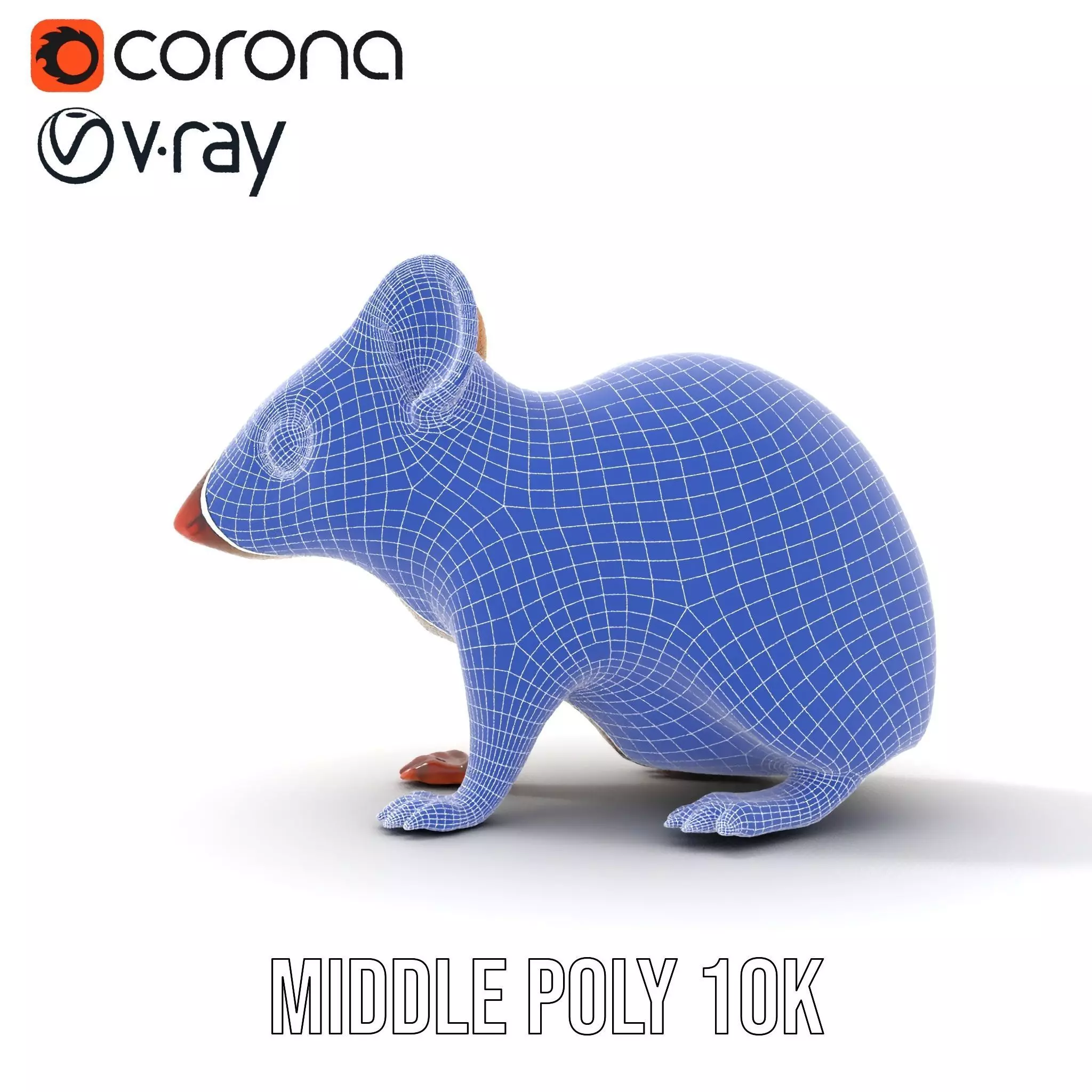 Desert Jerboa model pack Low-poly 3D model_24