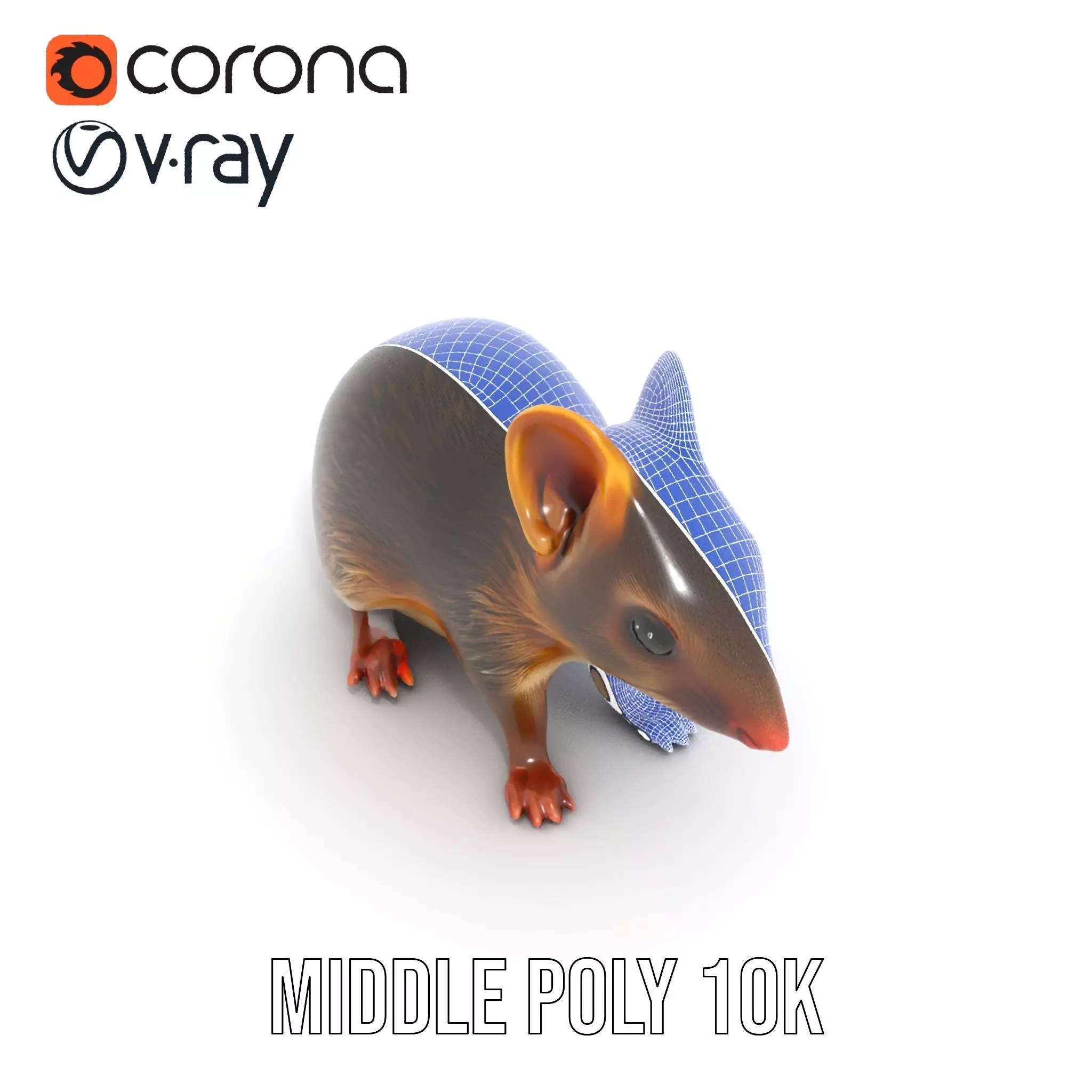 Desert Jerboa model pack Low-poly 3D model_18