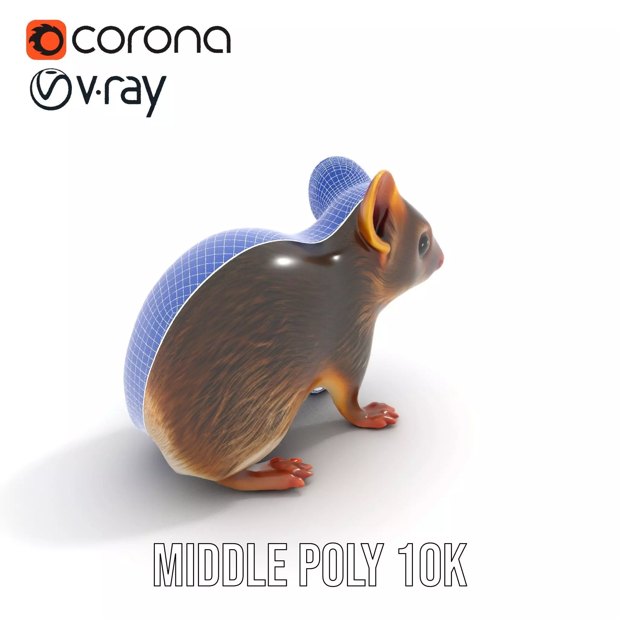 Desert Jerboa model pack Low-poly 3D model_21