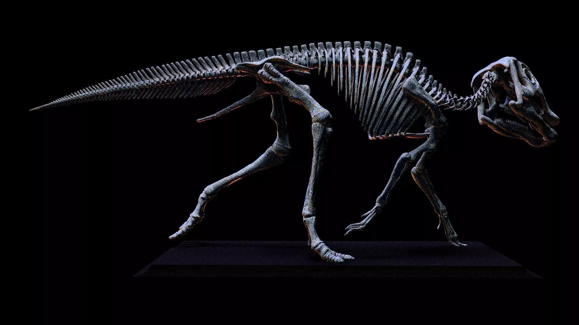 baby maiasaura real size 3D print model_7