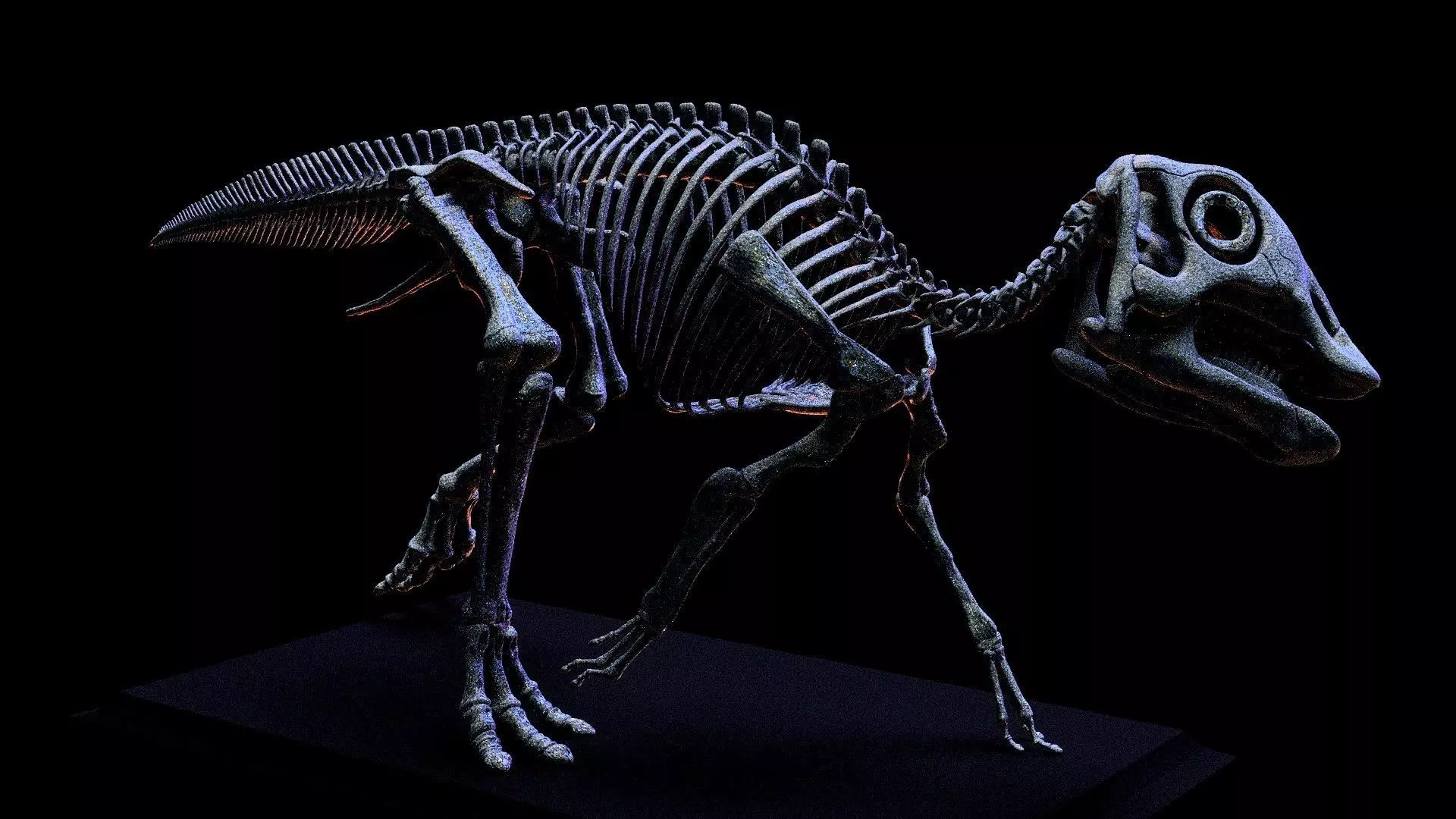 baby maiasaura real size 3D print model_0