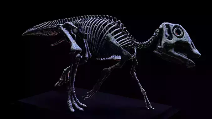baby maiasaura real size