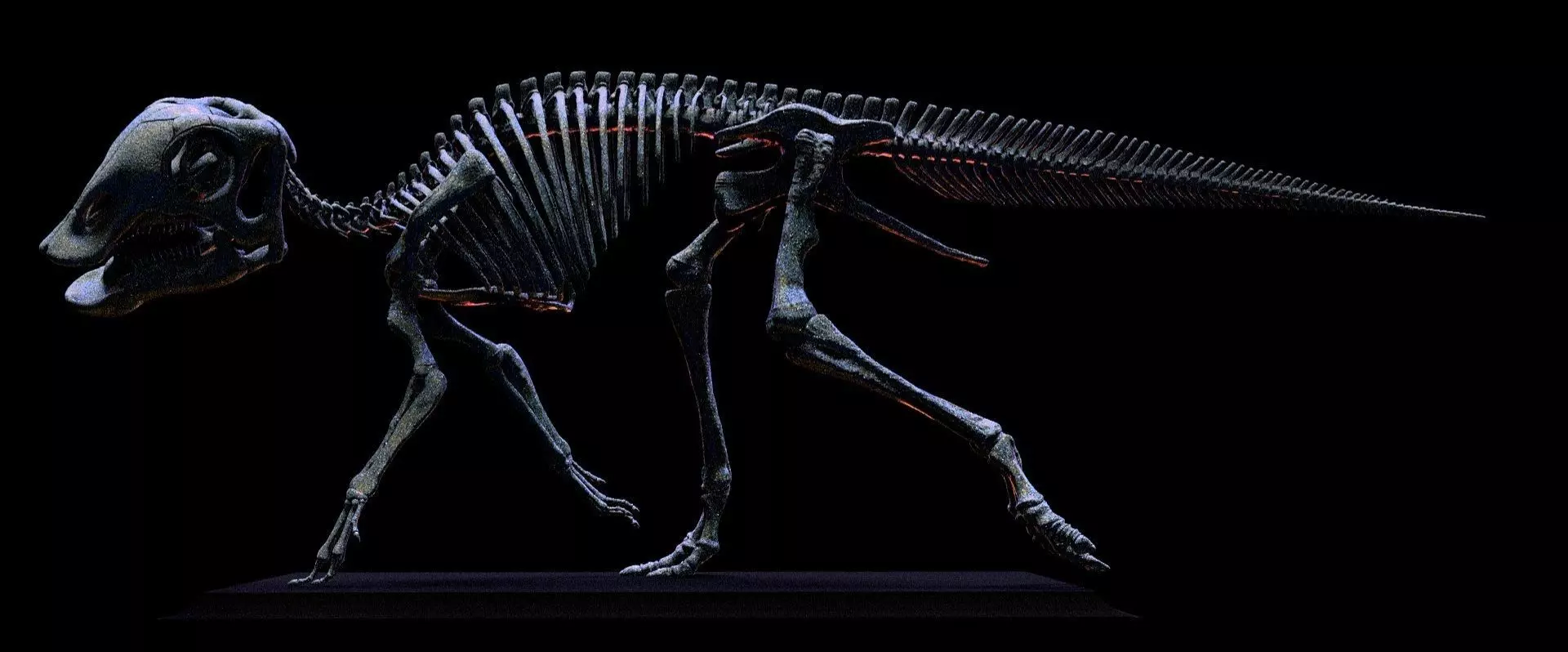 baby maiasaura real size 3D print model_4