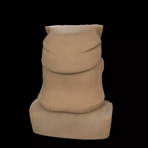 Maori Chief Bust 3D print model_6