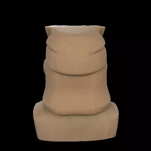 Maori Chief Bust 3D print model_7