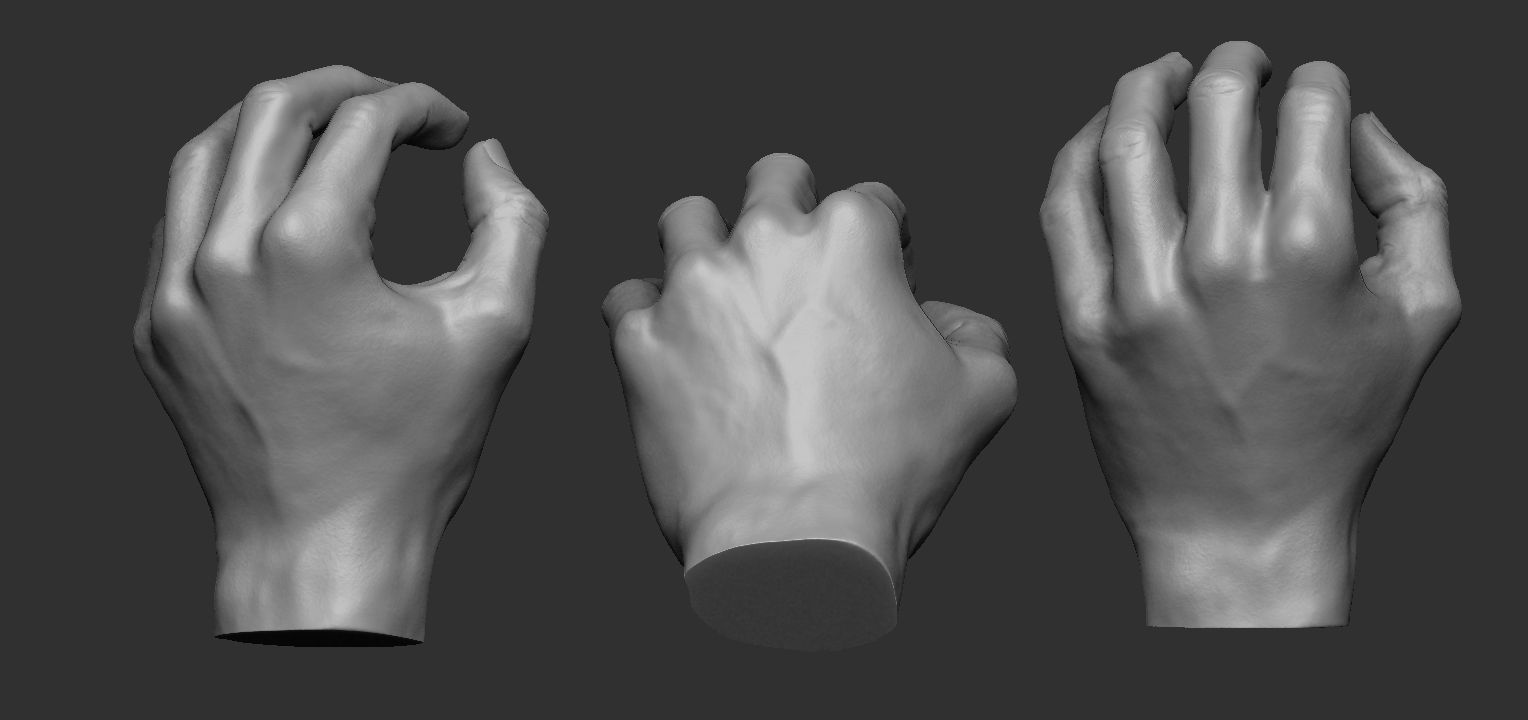 Hand pose 6 3D print model_3