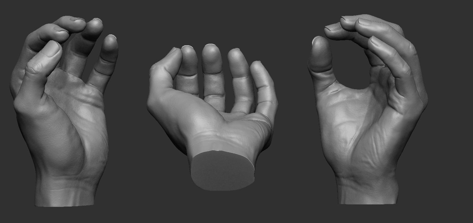 Hand pose 6 3D print model_1