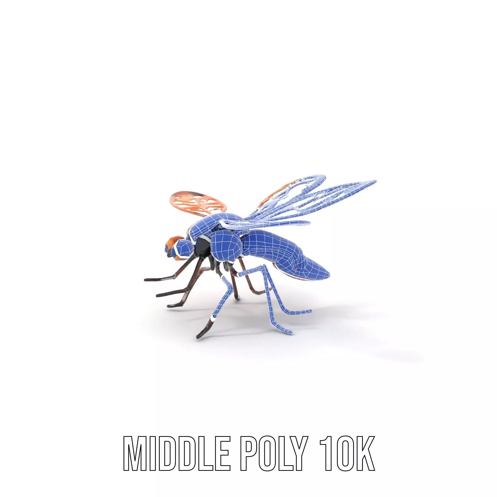 Copper Mechanical Insect model pack Low-poly 3D model_18
