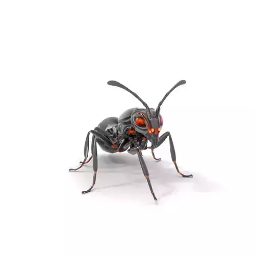 Futuristic Black Ant model pack Low-poly 3D model Futuristic Black Ant model pack Low-poly 3D model