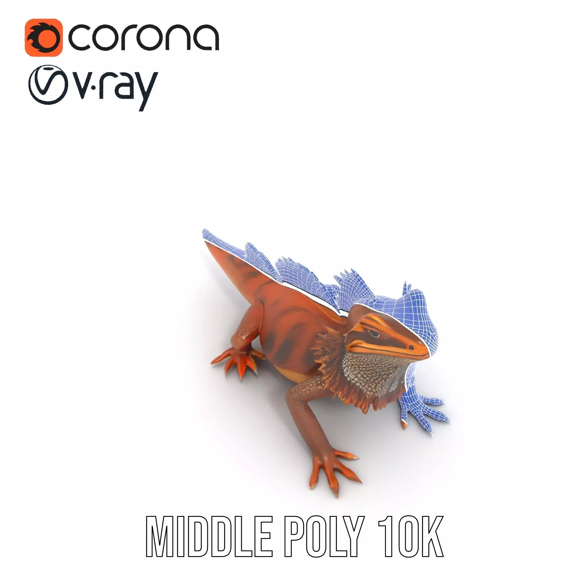 Orange Bearded Dragon model pack Low-poly 3D model_24