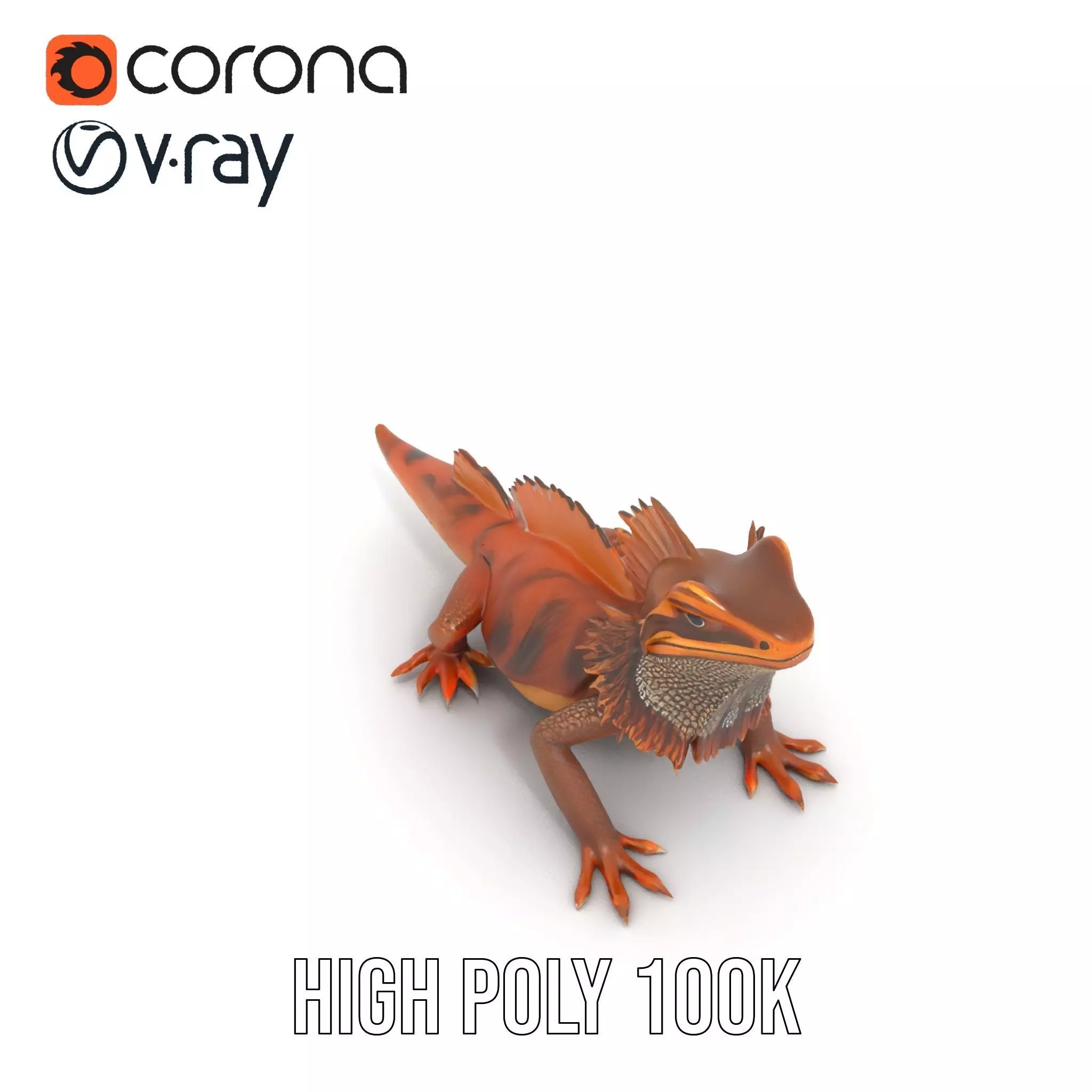 Orange Bearded Dragon model pack Low-poly 3D model_29