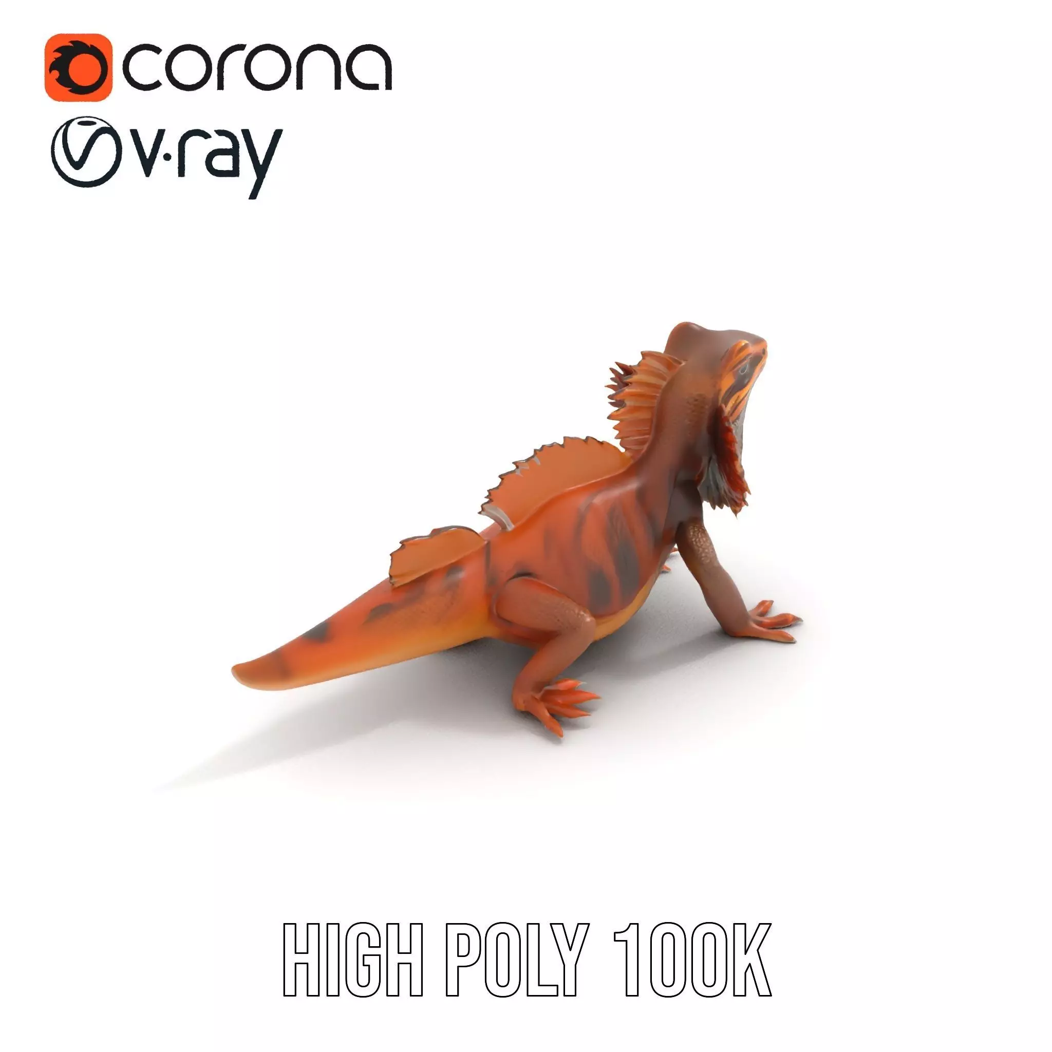 Orange Bearded Dragon model pack Low-poly 3D model_13