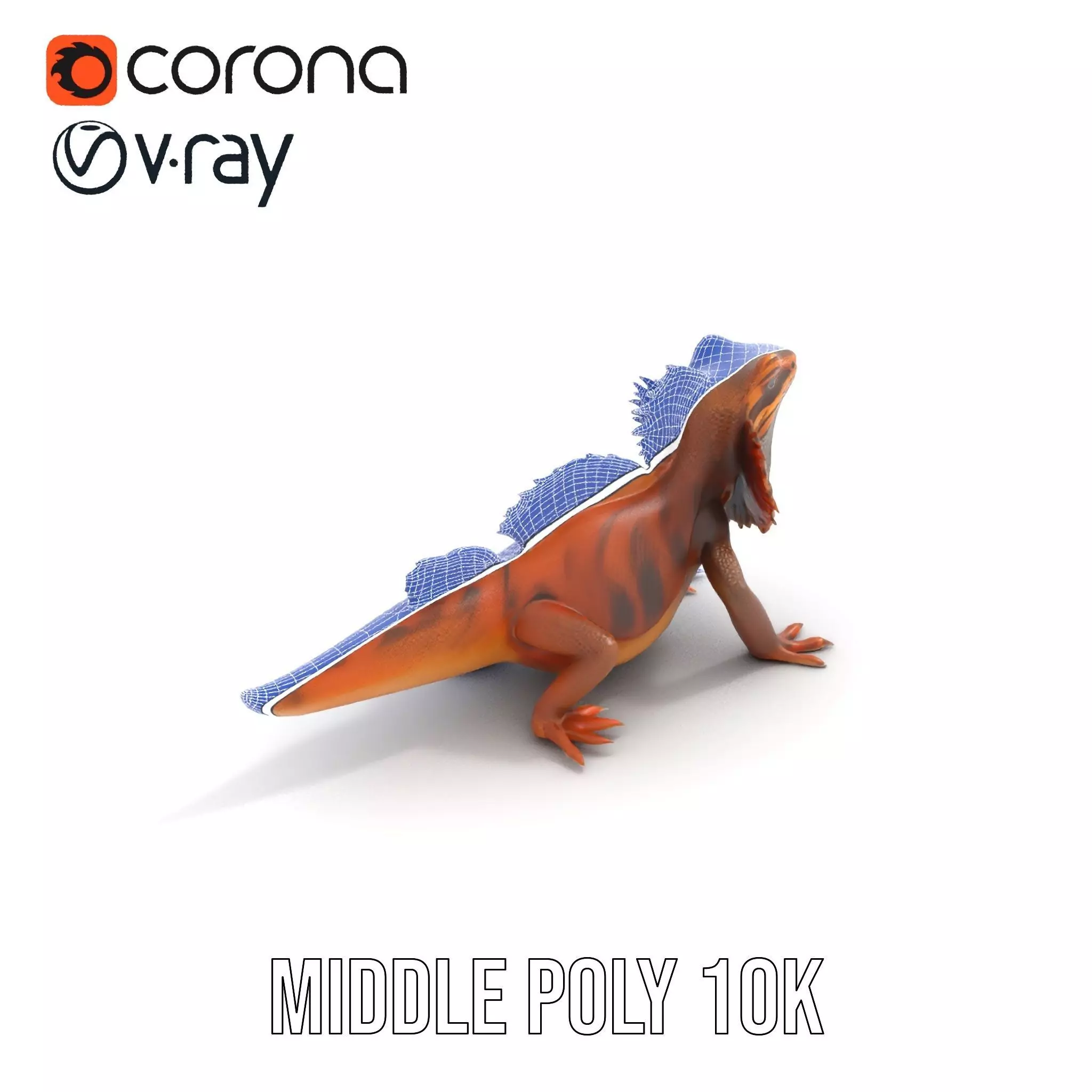 Orange Bearded Dragon model pack Low-poly 3D model_14