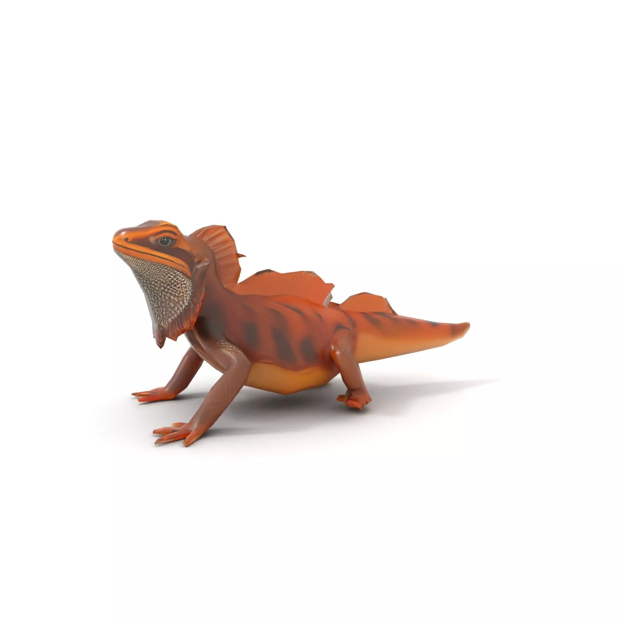 Orange Bearded Dragon model pack Low-poly 3D model_19