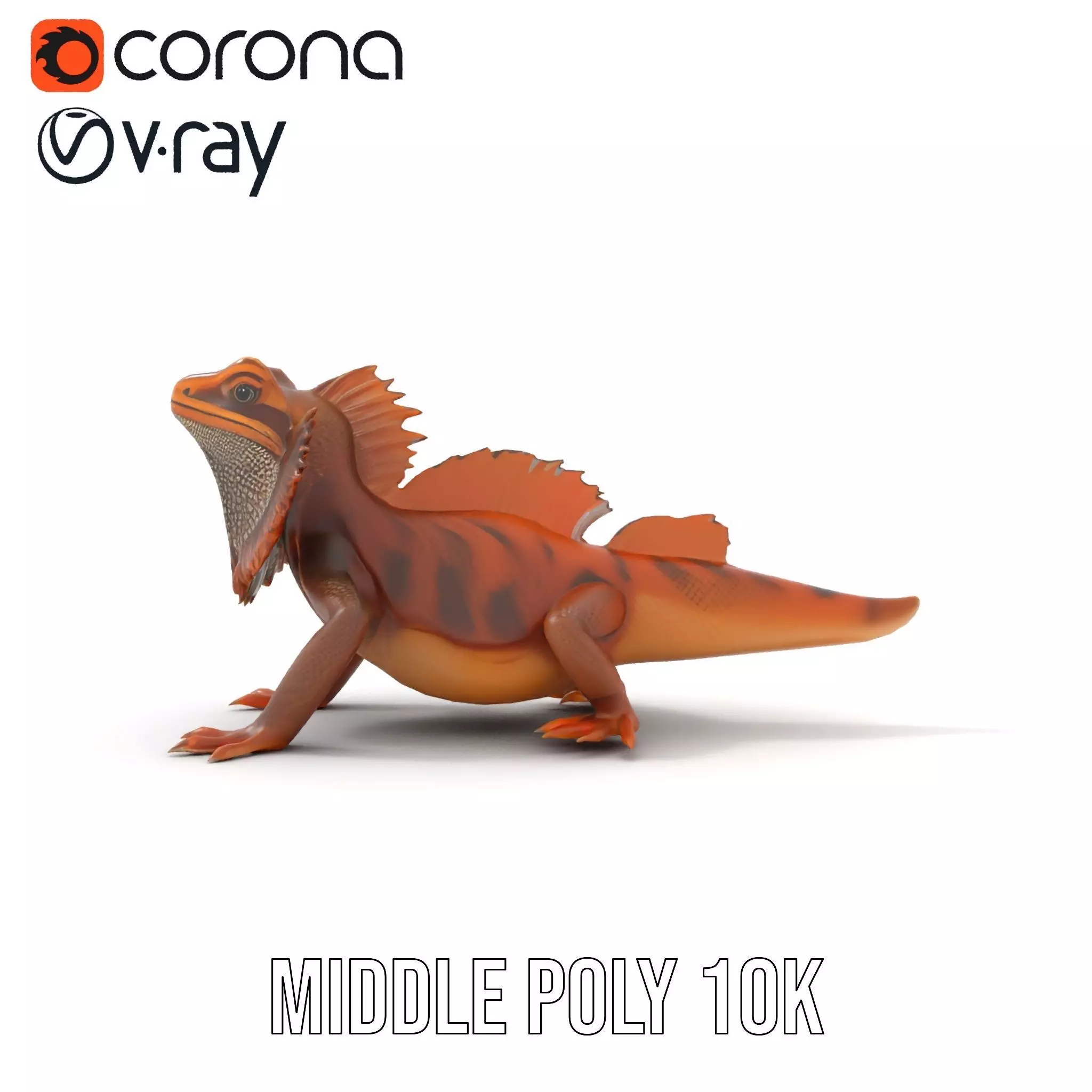 Orange Bearded Dragon model pack Low-poly 3D model_21