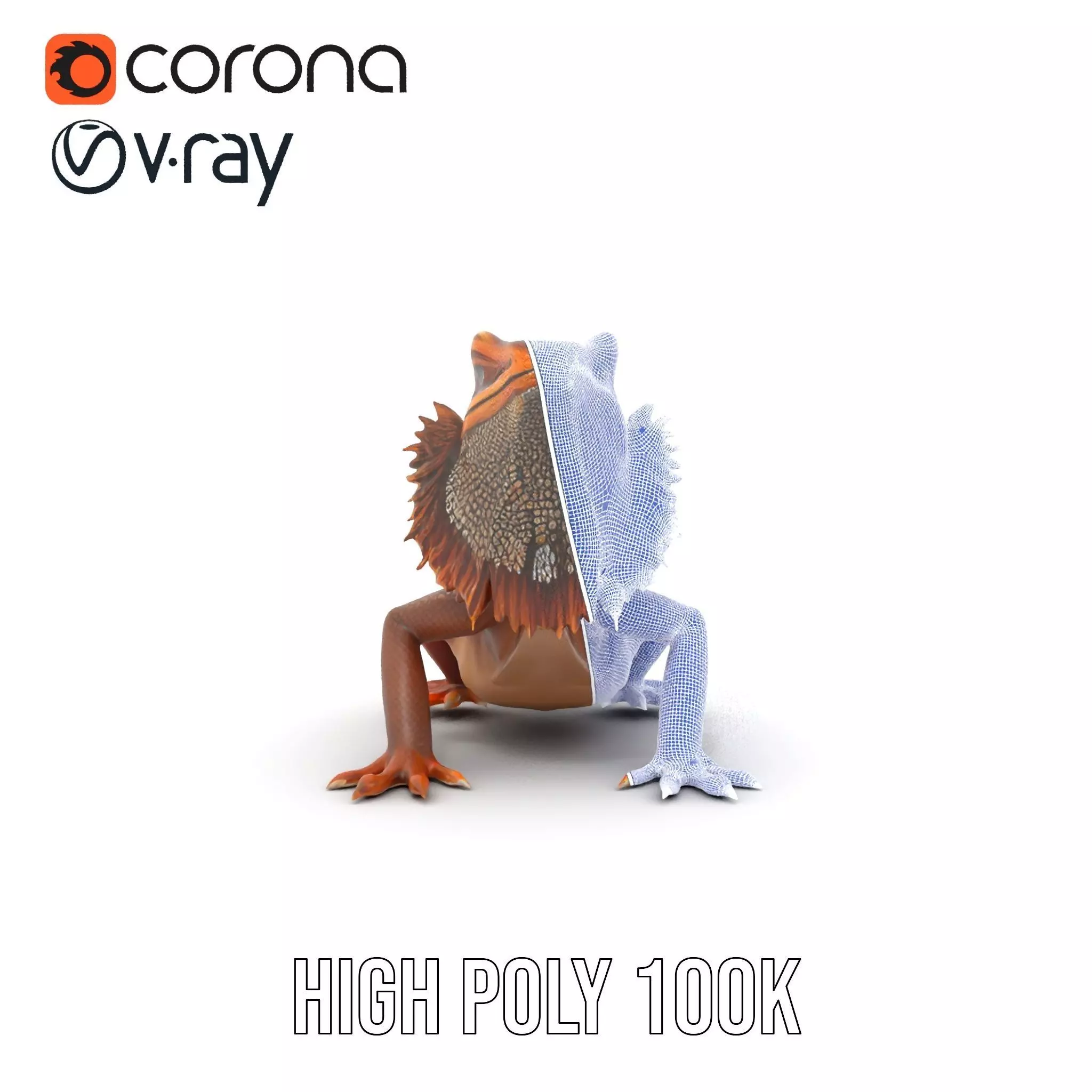 Orange Bearded Dragon model pack Low-poly 3D model_26