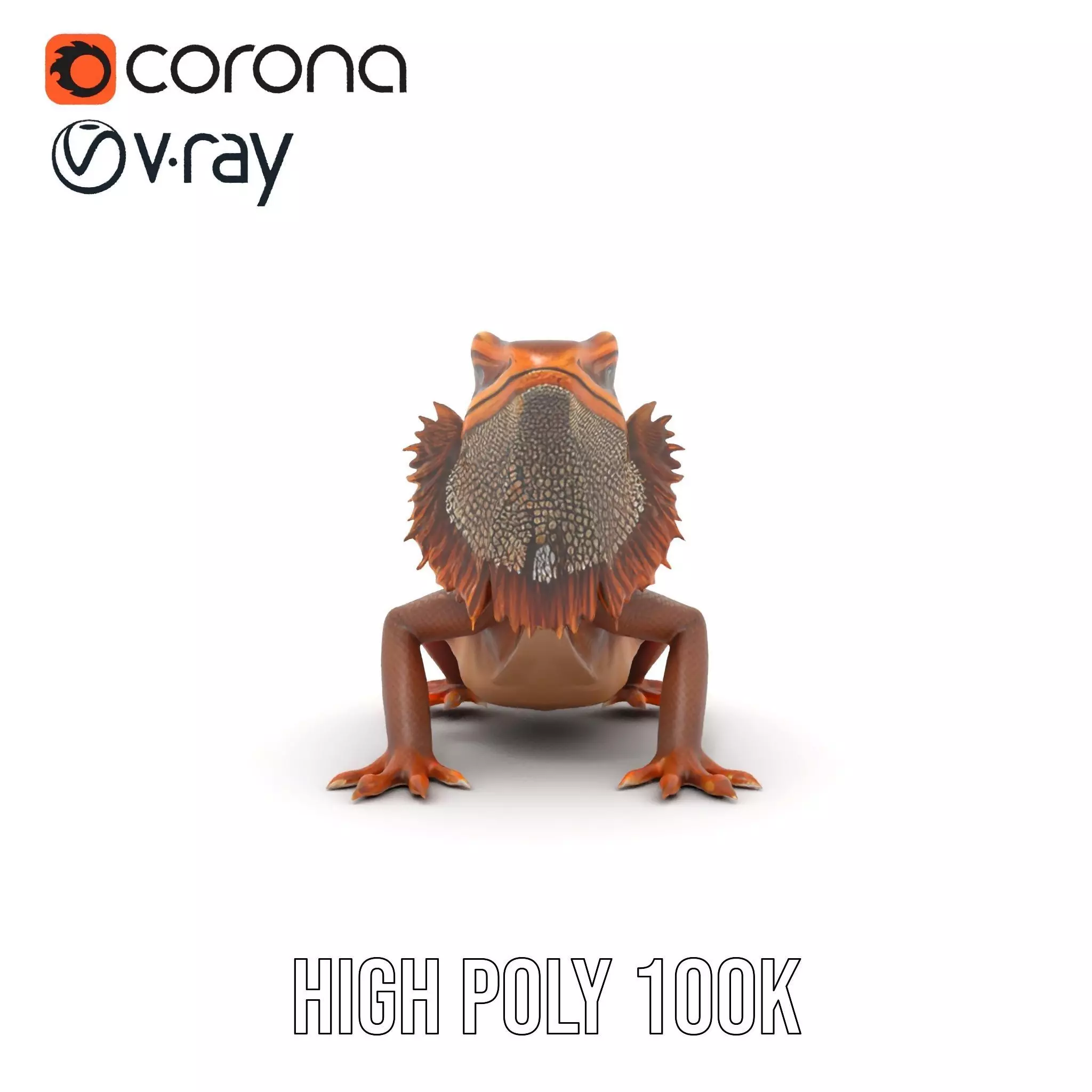 Orange Bearded Dragon model pack Low-poly 3D model_33
