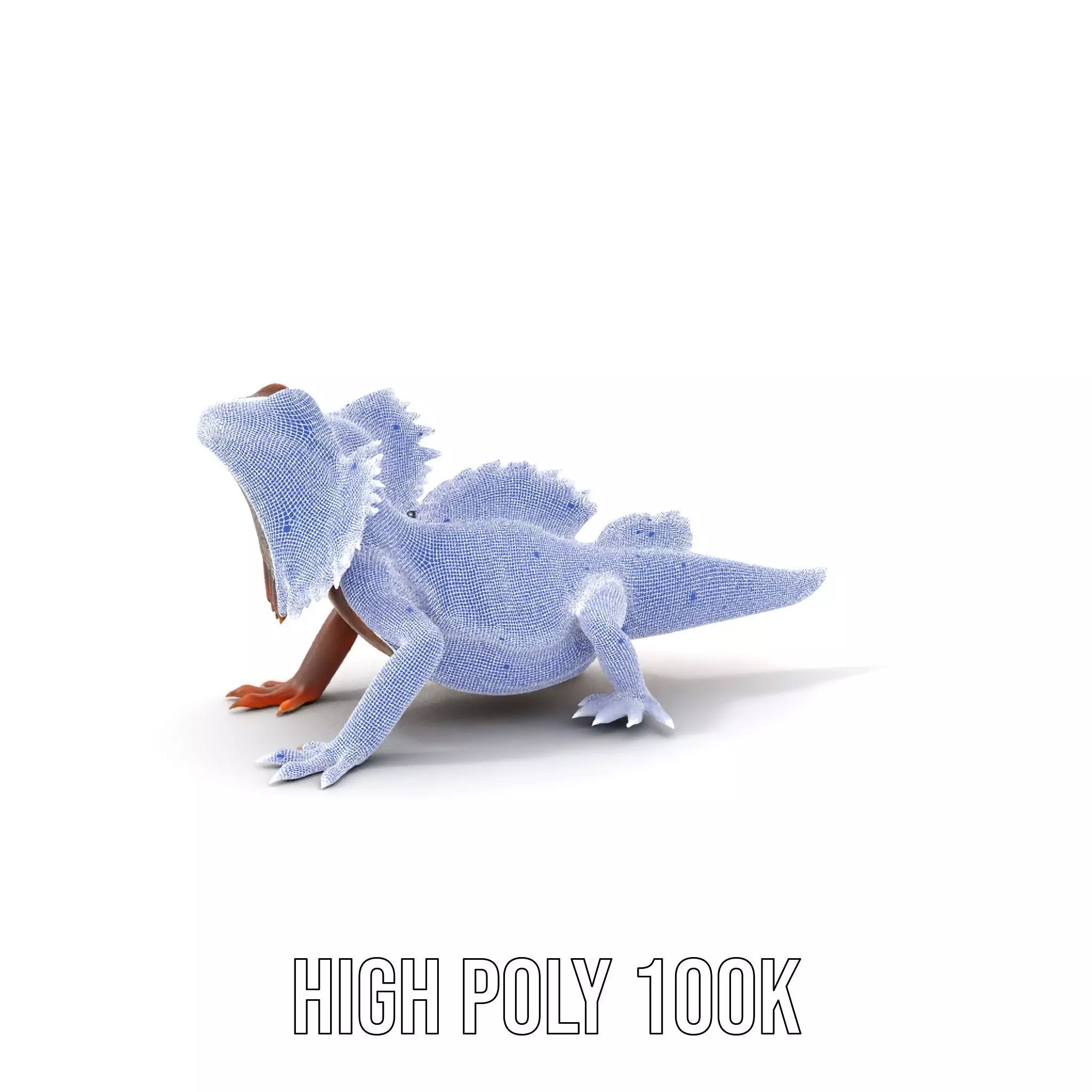 Orange Bearded Dragon model pack Low-poly 3D model_4