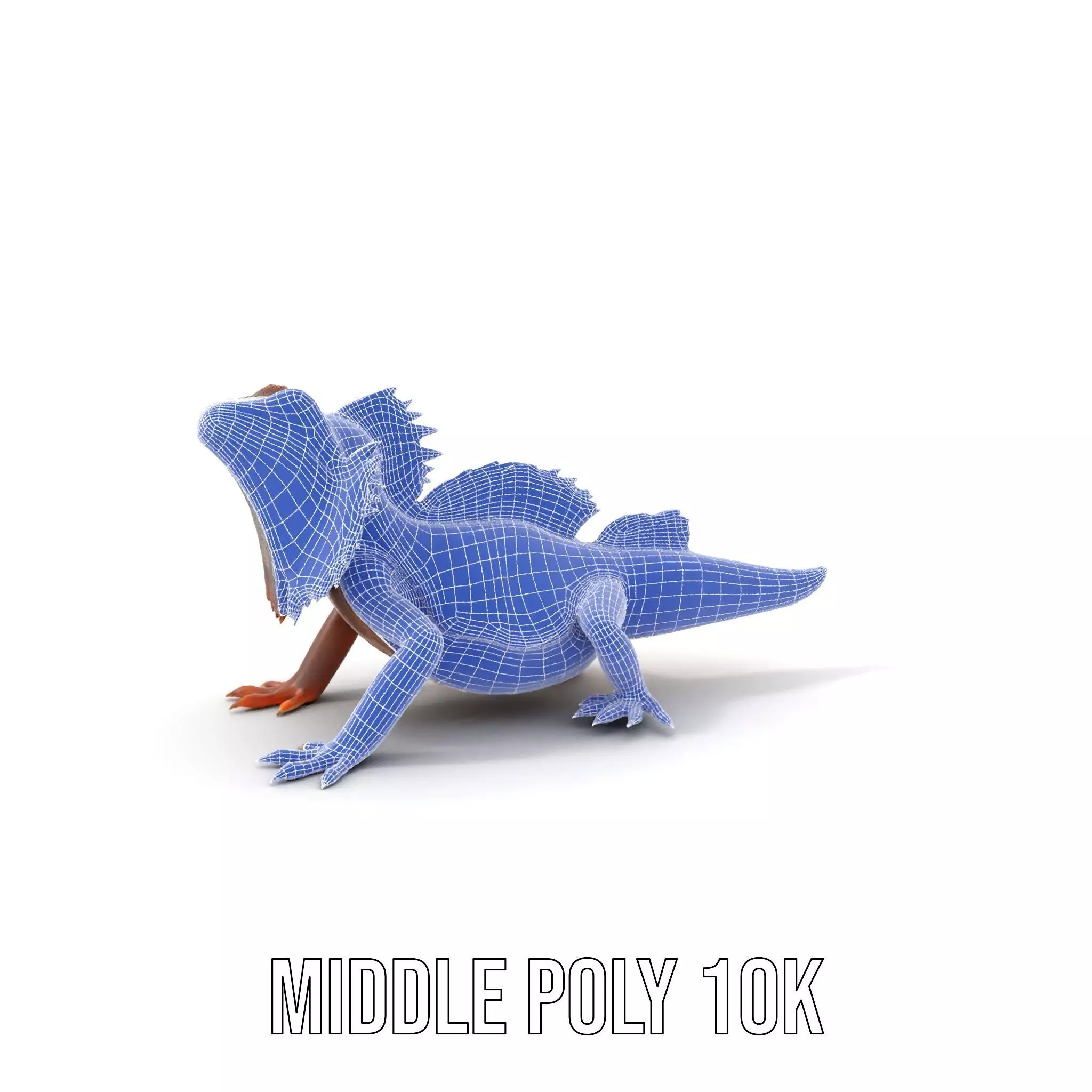 Orange Bearded Dragon model pack Low-poly 3D model_5